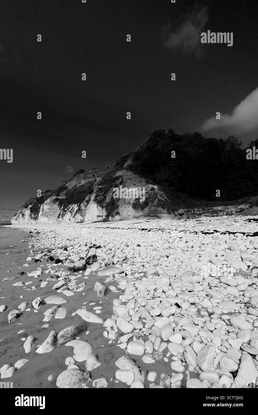 Vista delle Sewerby Cliffs e Foreshore, Sewerby Village, East Riding of Yorkshire, Inghilterra, Regno Unito Foto Stock