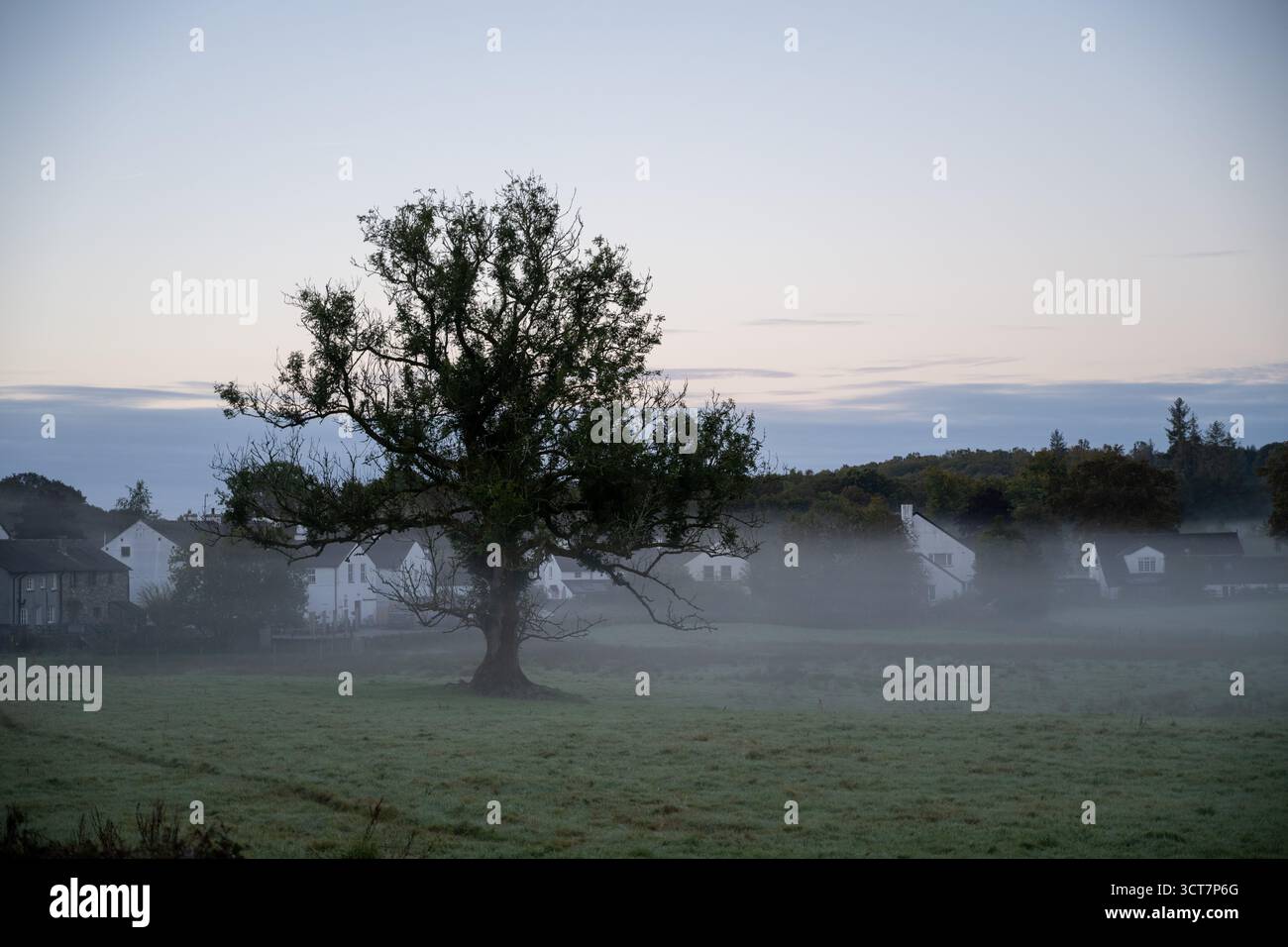 Mattina nebbiosa su terreni agricoli e cottage in Cumbria, con colline ondulate e boschi all'alba. Foto Stock