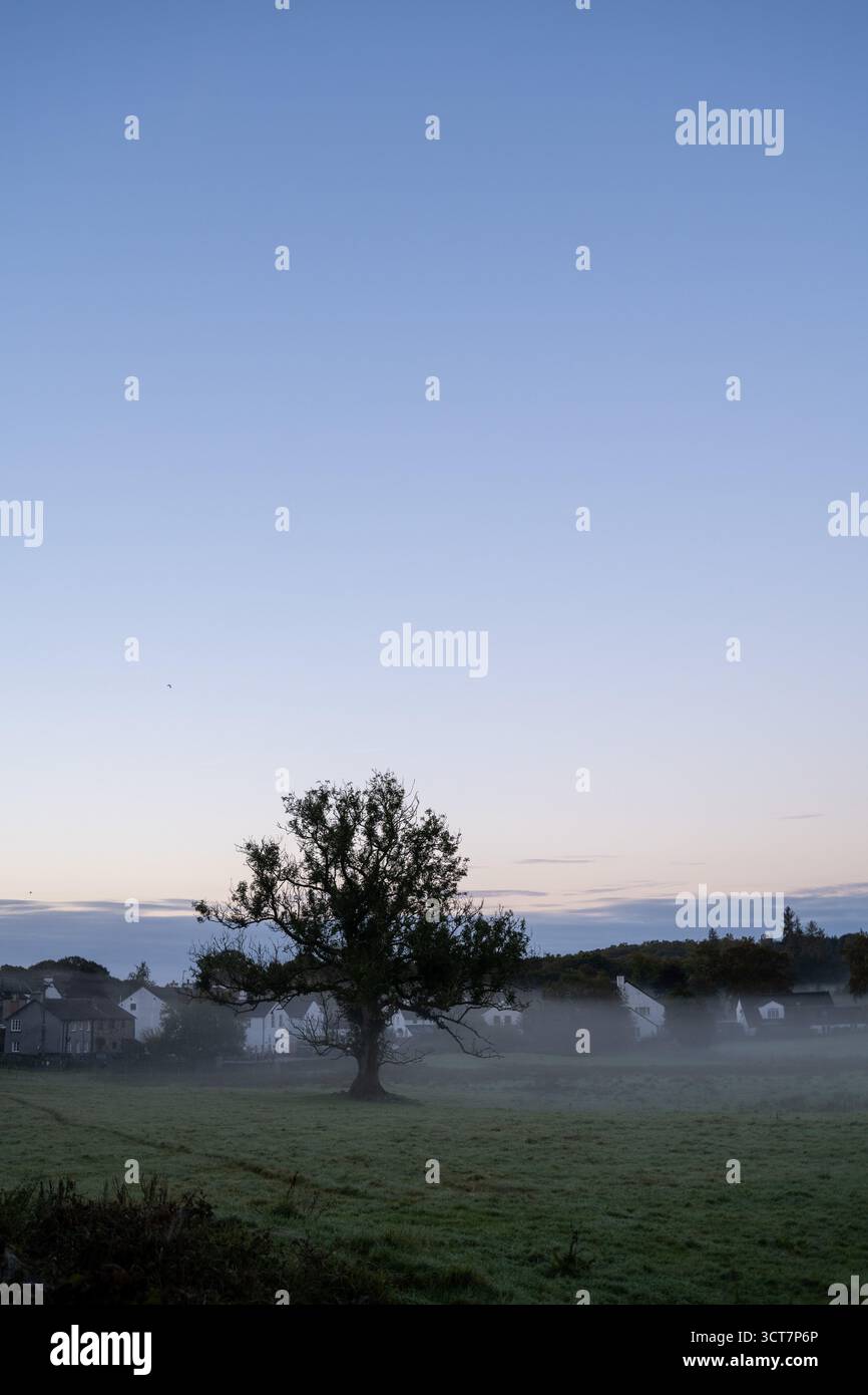 Mattina nebbiosa su terreni agricoli e cottage in Cumbria, con colline ondulate e boschi all'alba. Foto Stock