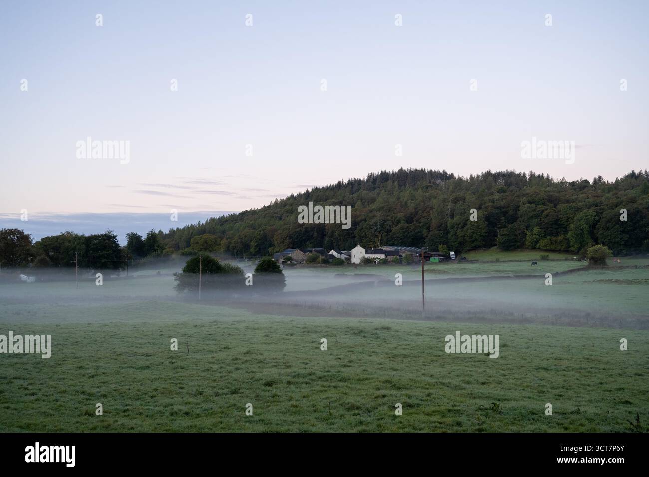 Mattina nebbiosa su terreni agricoli e cottage in Cumbria, con colline ondulate e boschi all'alba. Foto Stock