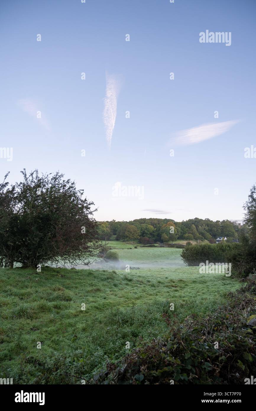 Mattina nebbiosa su terreni agricoli e cottage in Cumbria, con colline ondulate e boschi all'alba. Foto Stock