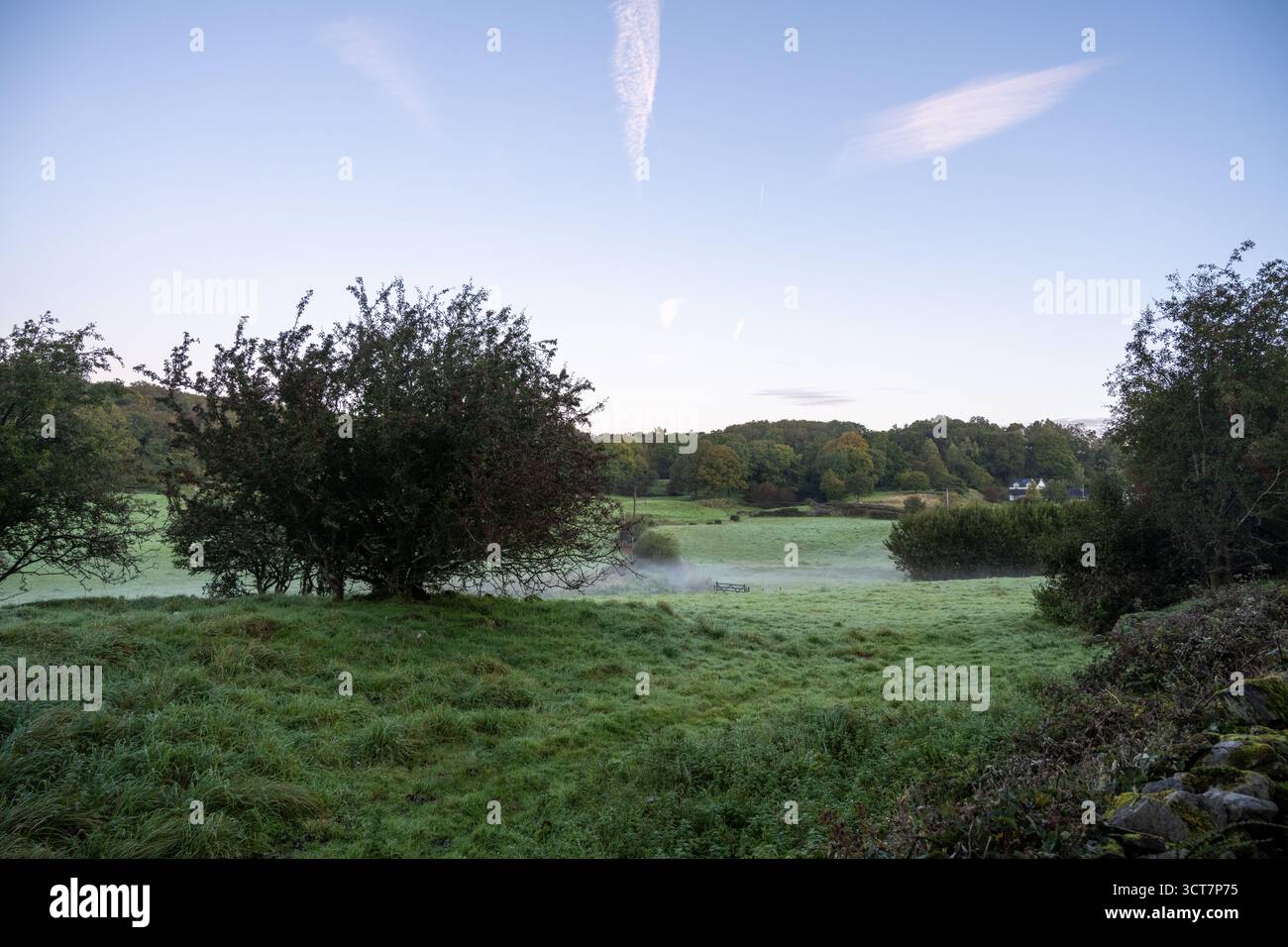 Mattina nebbiosa su terreni agricoli e cottage in Cumbria, con colline ondulate e boschi all'alba. Foto Stock