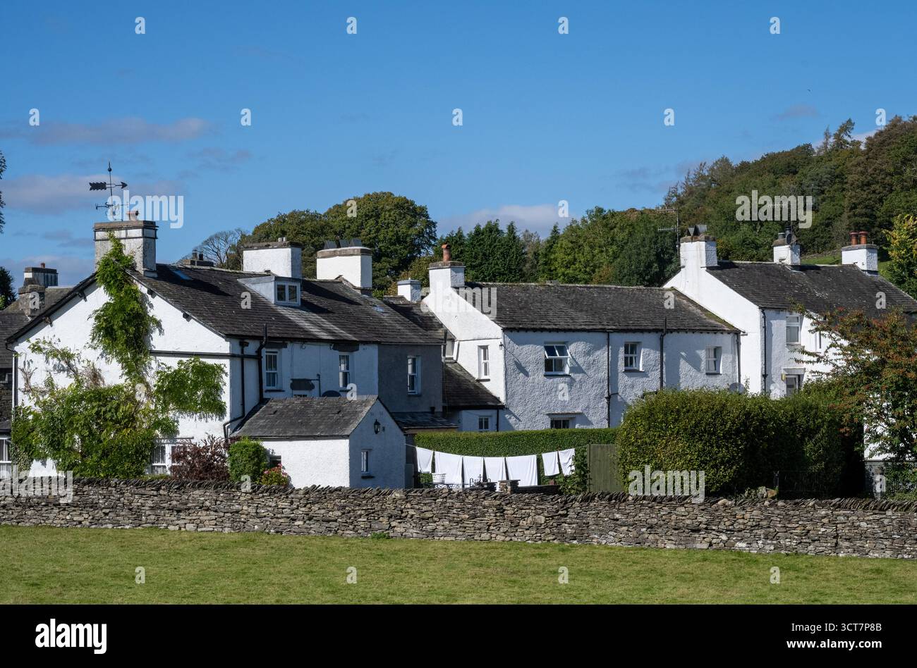 Cottage tradizionali imbiancati a calce a Sawrey Village, vicino a Hill Top, Lake District, Cumbria, Inghilterra, in una giornata di sole Foto Stock
