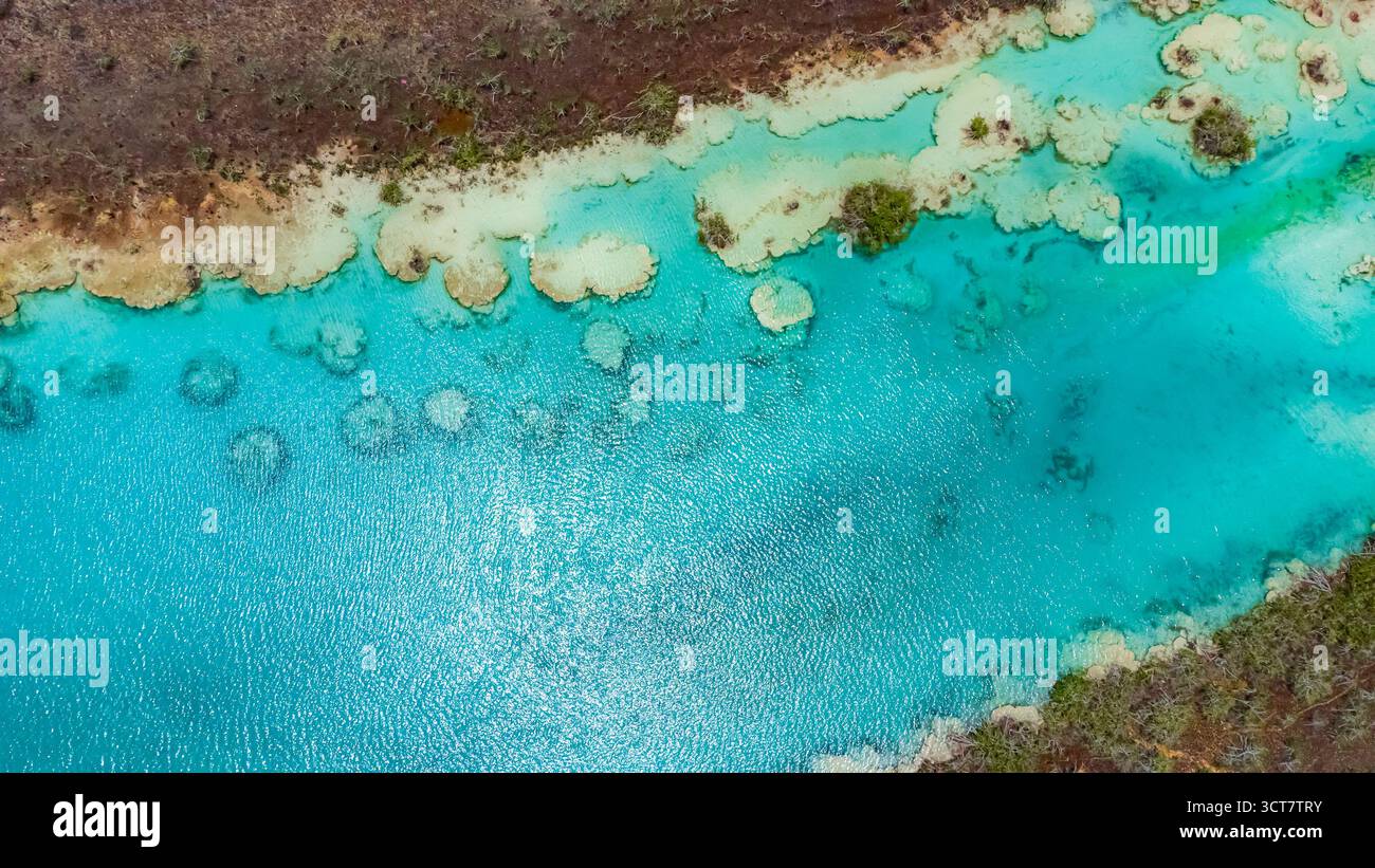 Bacalar, Messico, Quintana Roo, corpo d'acqua blu con una tinta verdastra. L'acqua è calma e limpida. Il cielo è blu e non ci sono nuvole Foto Stock