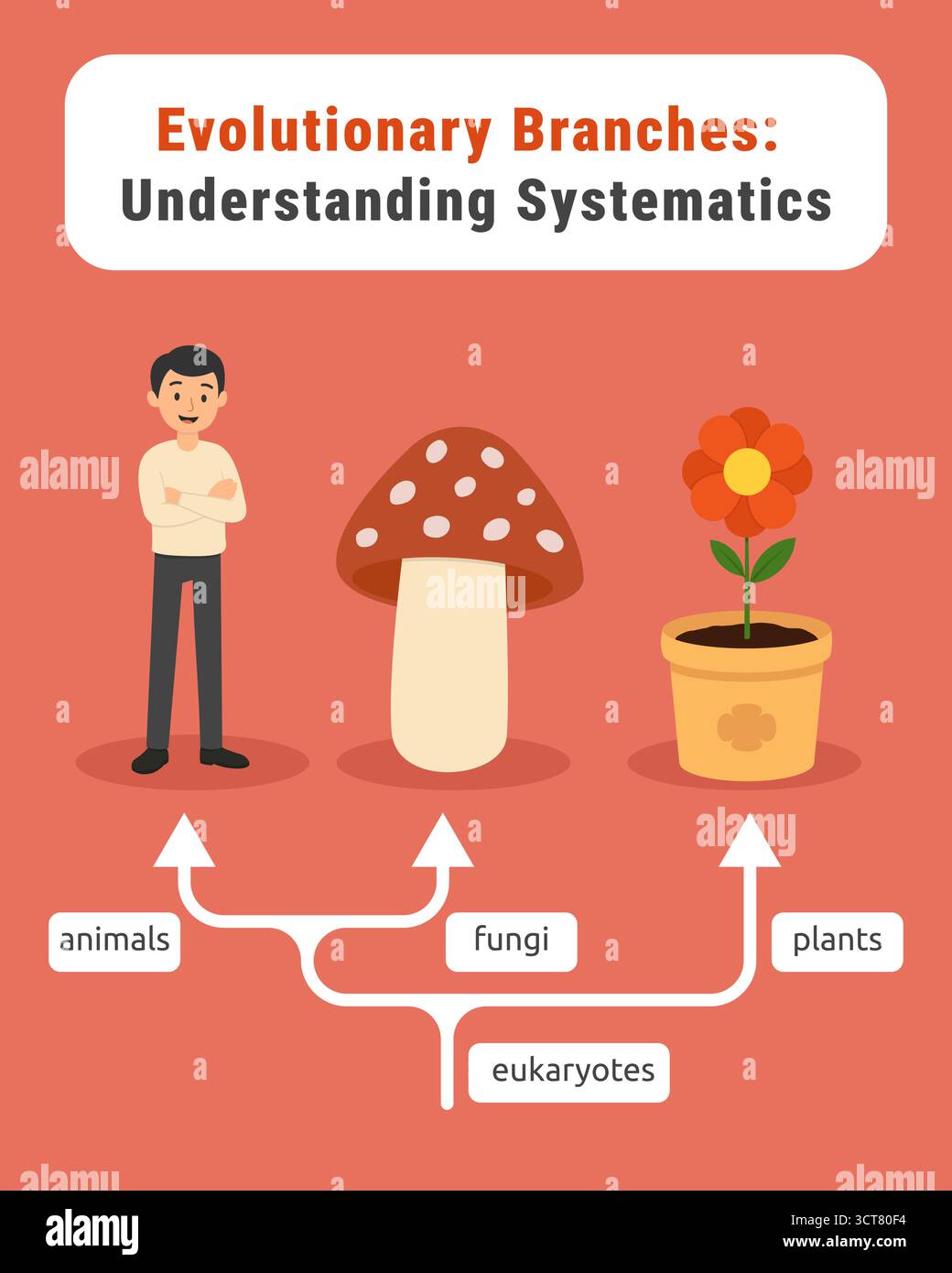 Infografica evolutiva sugli alberi: Umani, funghi e piante Illustrazione Vettoriale
