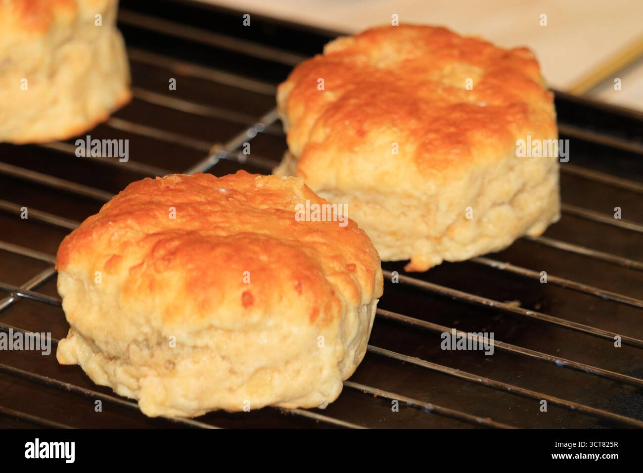 Focaccine al formaggio su griglia da forno Foto Stock