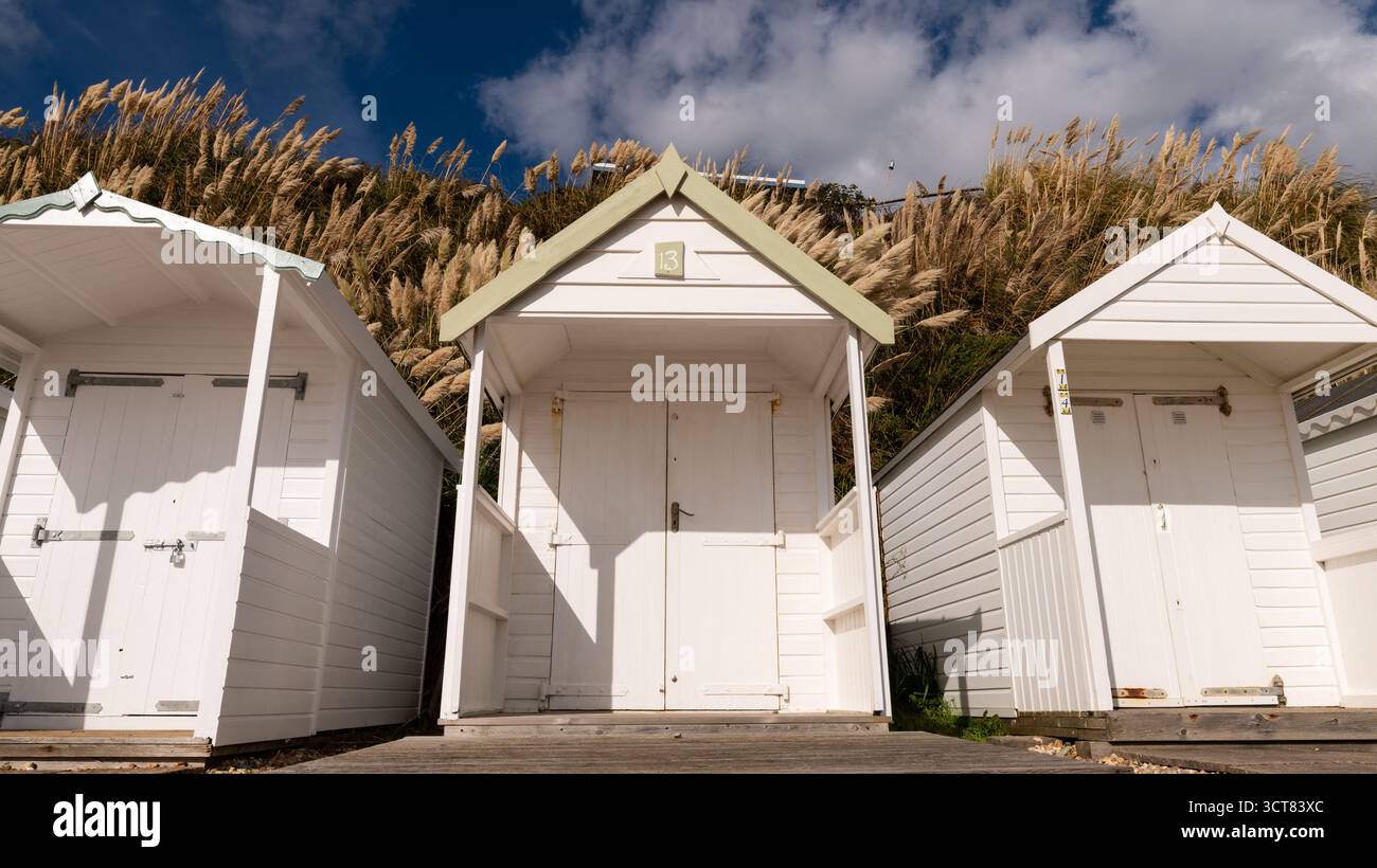 Capanna bianca numero 13 con vegetazione verde pallido e erba pampas alle sue spalle a Bexhill-on-Sea, East Sussex, sotto i luminosi cieli costieri. Foto Stock