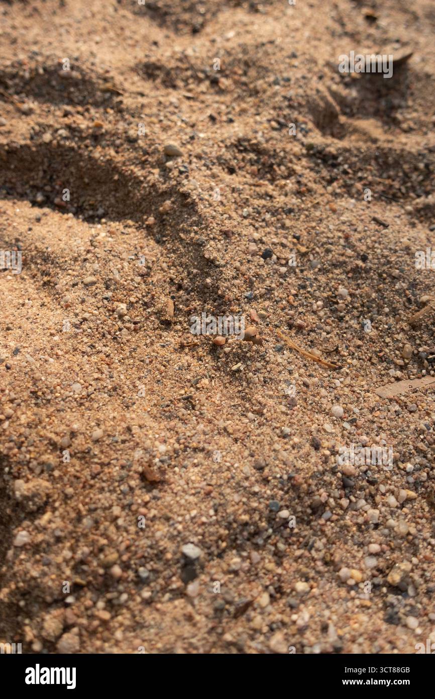 Primo piano di un terreno sabbioso secco con piccole rocce e ciottoli, che rappresentano lo sfondo desertico o arido del suolo Foto Stock