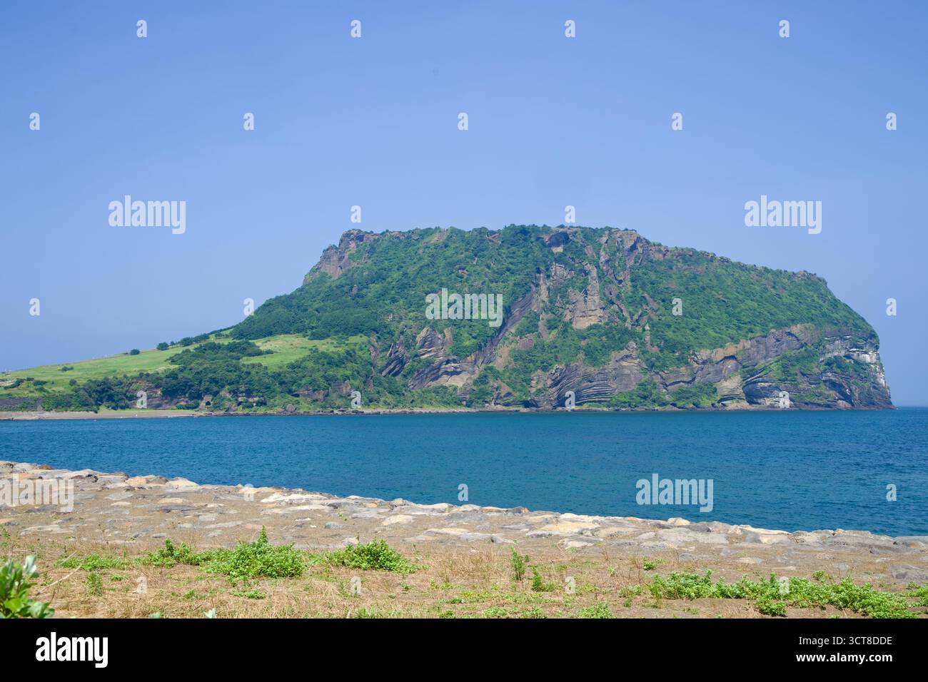 Seongsan Ilchulbong riempie la cornice attraverso la baia, i suoi pendii erbosi e gli strati di tufo scuri che scendono verso una costa corazzata di pietra e acque blu profonde Foto Stock
