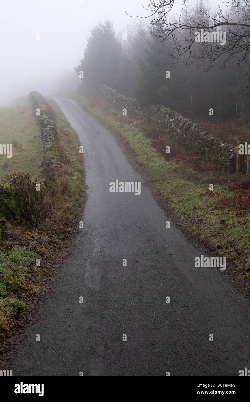 Vicolo di campagna nebbioso con muretti a secco che scompaiono nella nebbia la mattina d'inverno Foto Stock