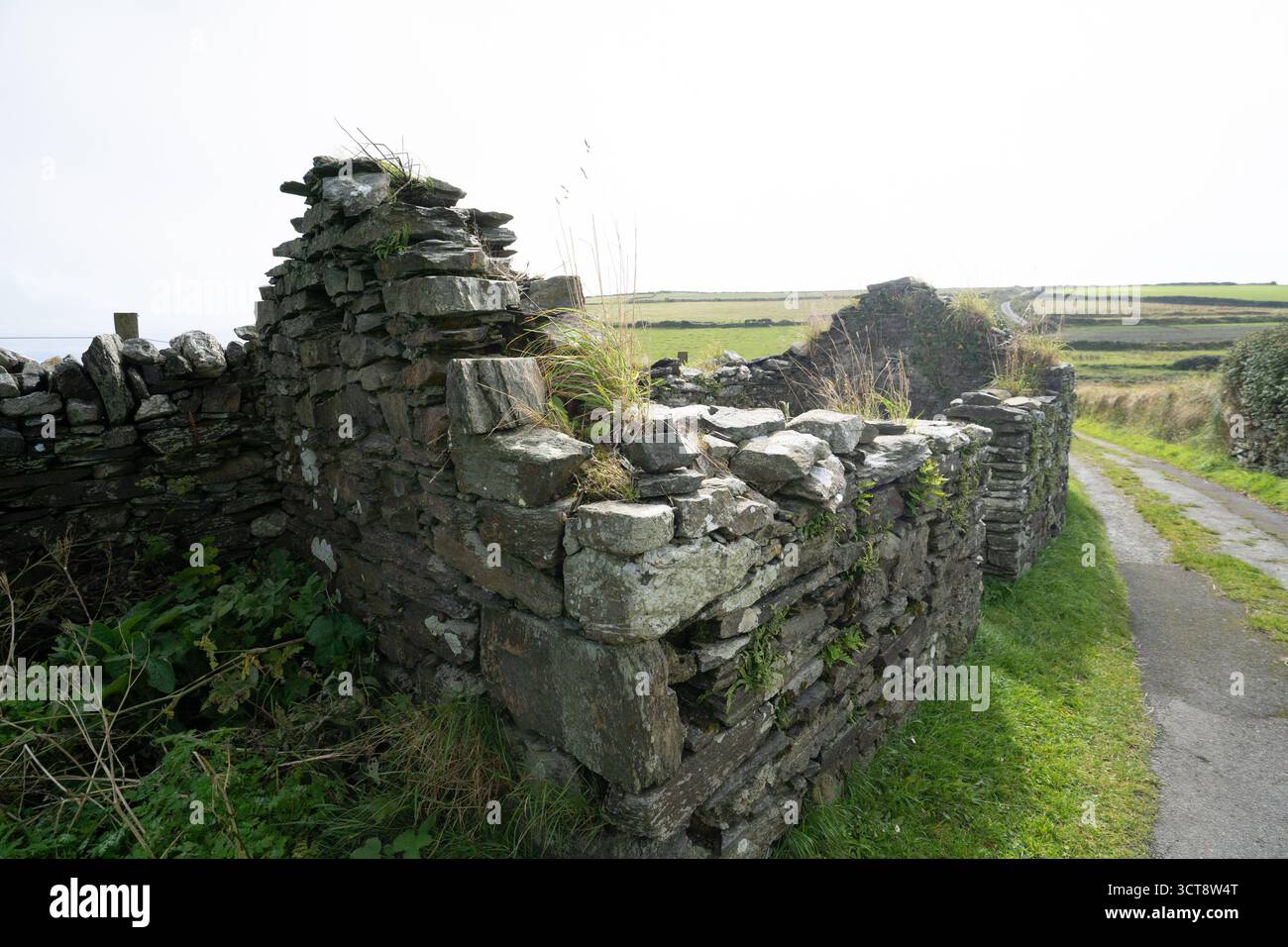Antiche rovine di pietra accanto al vicolo di campagna nella campagna dell'Isola di Man Foto Stock