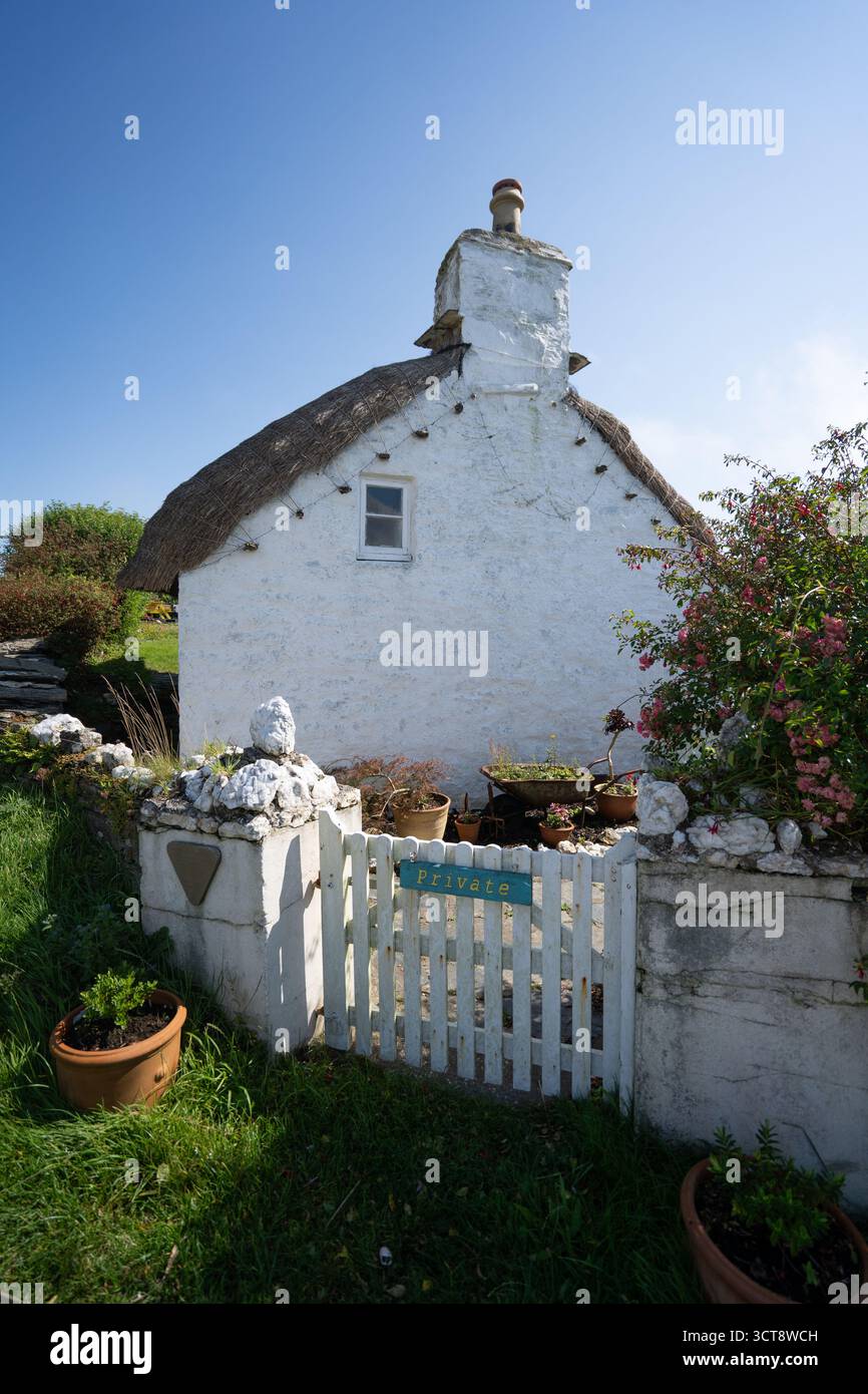 Cottage tradizionale con tetto di paglia con recinzione a picchetto bianca e giardino sull'Isola di Man Foto Stock