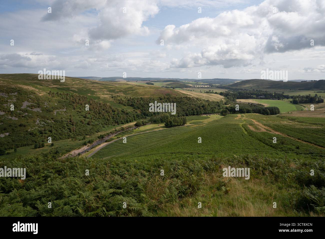 Vista panoramica delle colline ondulate e dei terreni agricoli nella campagna del Northumberland Foto Stock