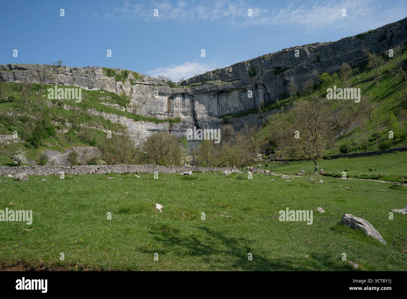 Le scogliere calcaree di Malham Cove e la valle verde nel Parco Nazionale delle Valli dello Yorkshire Foto Stock