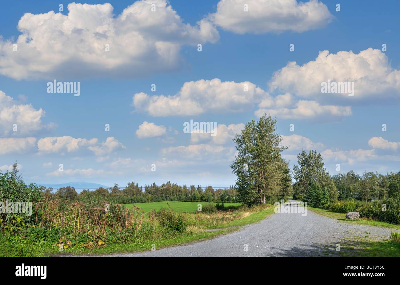 Il Tony Knowles Coastal Trail a Kincaid Park, Anchorage, Alaska, Stati Uniti Foto Stock