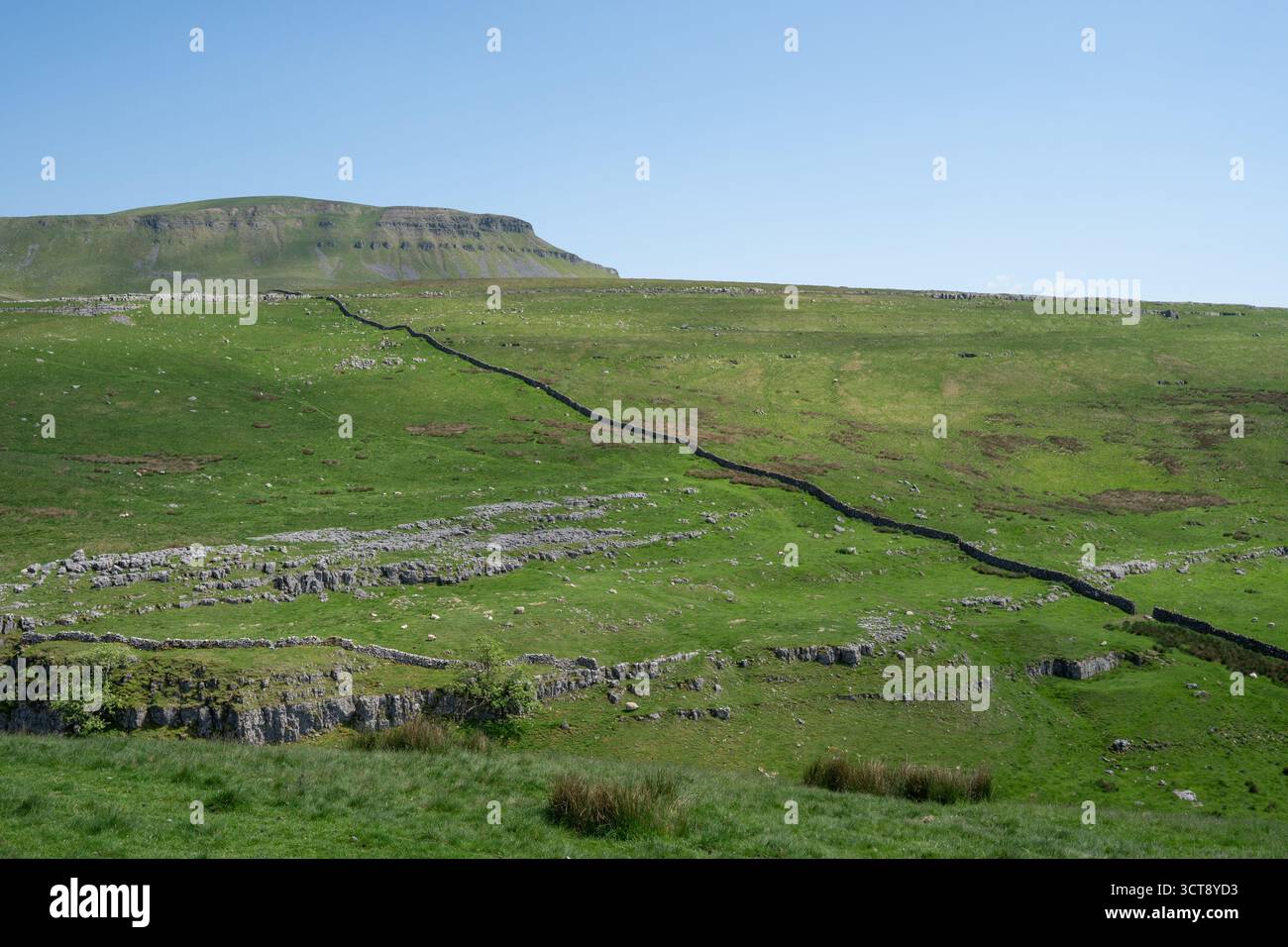 Paesaggio calcareo dello Yorkshire Dales con muretti a secco e pascoli verdi Foto Stock