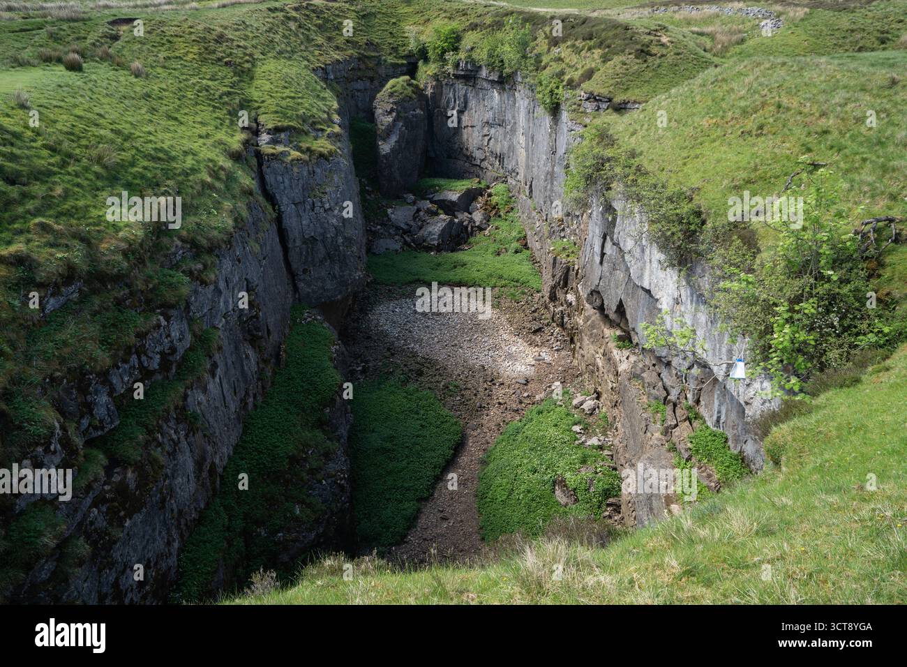 Spettacolare gola calcarea con pareti a strapiombo e vegetazione lussureggiante nello Yorkshire Dales Foto Stock