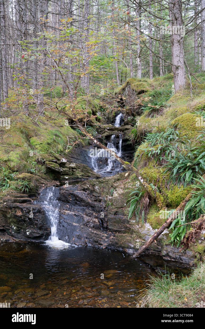 Cascata attraverso rocce coperte di muschio nel bosco scozzese Foto Stock