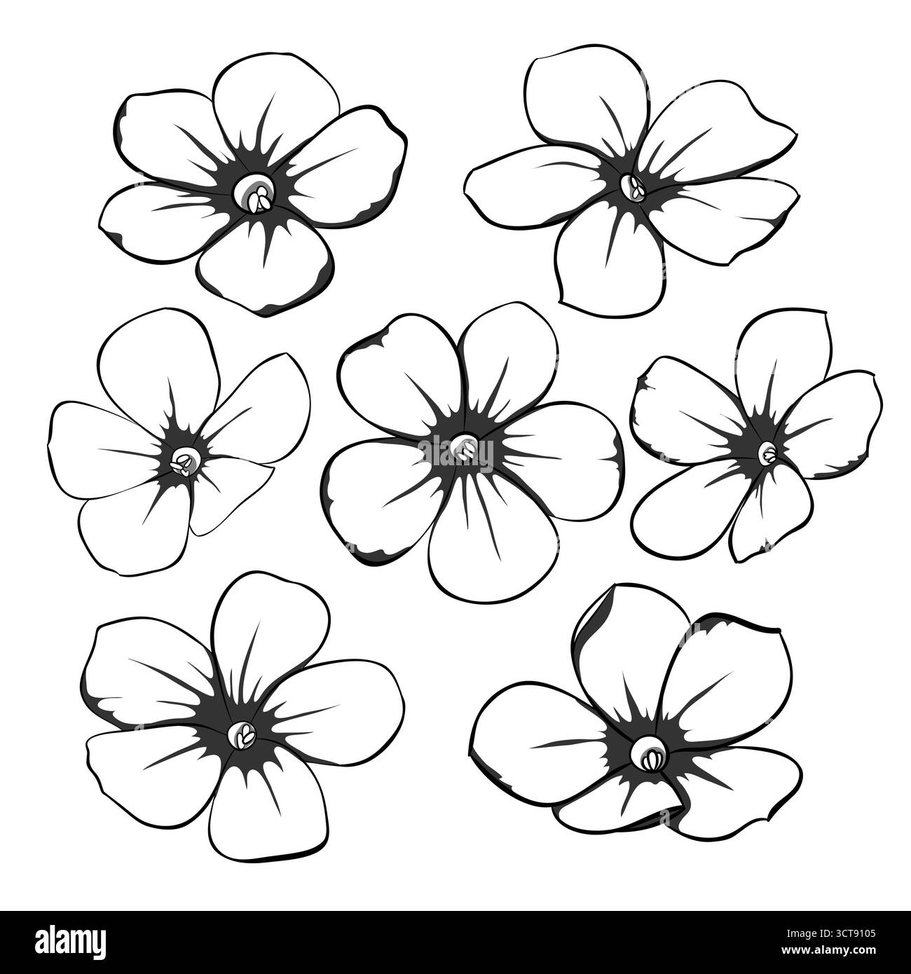 Splendida collezione floreale monocromatica in bianco e nero con foglie e fiori Illustrazione Vettoriale