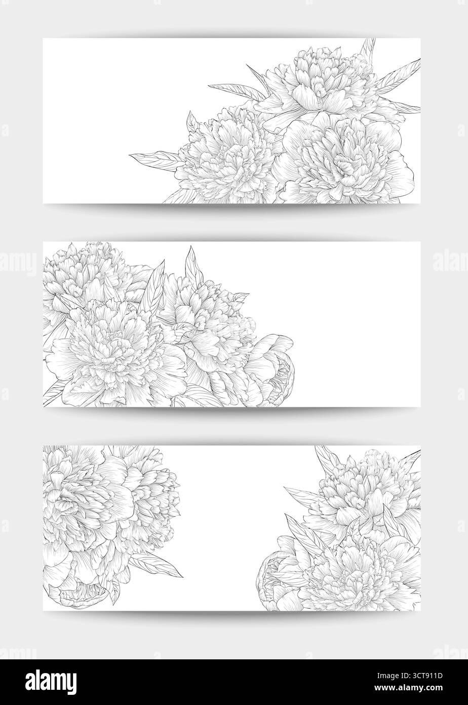 Splendido set di striscioni orizzontali in bianco e nero con fiori. Illustrazione Vettoriale