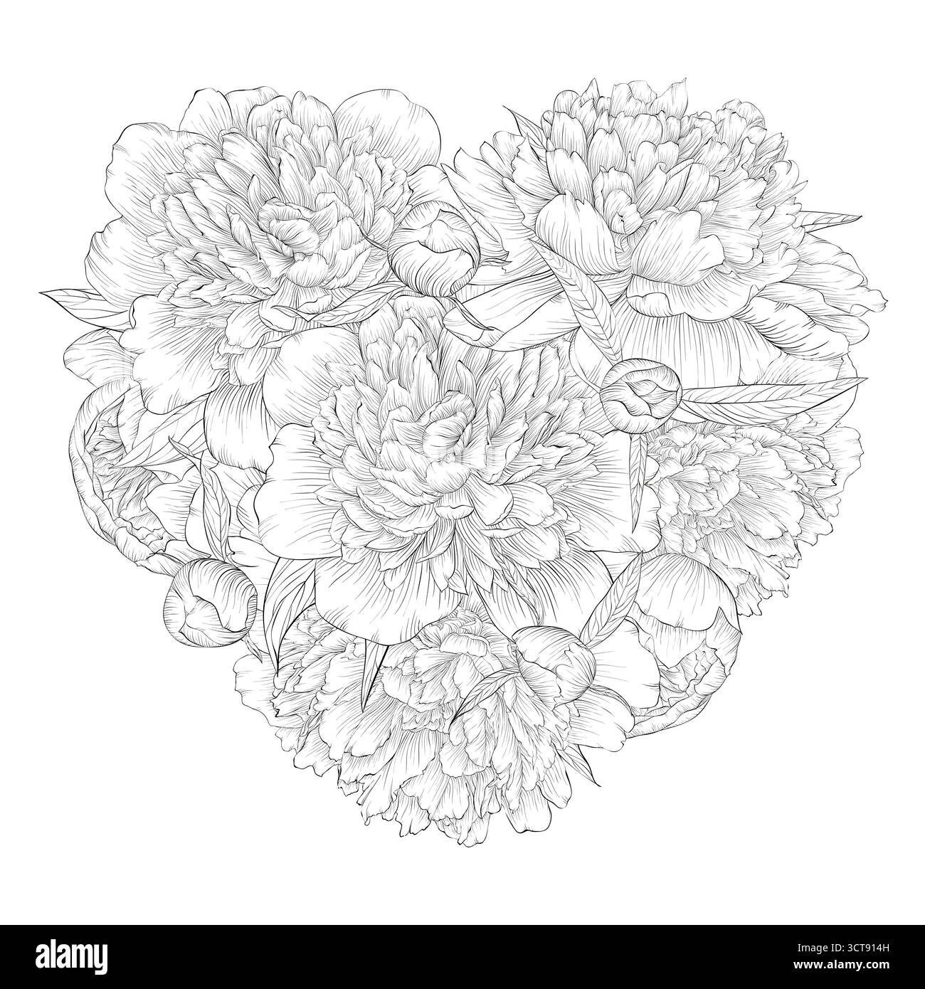 Bellissimo cuore bianco e nero monocromatico decorato da fiori di peonia. Ti amo Illustrazione Vettoriale