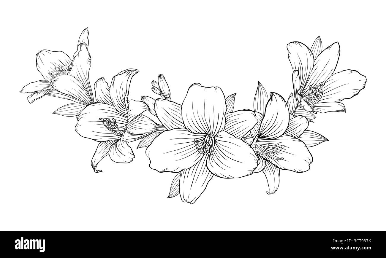 splendido bouquet bianco e nero monocromatico isolato sullo sfondo Illustrazione Vettoriale