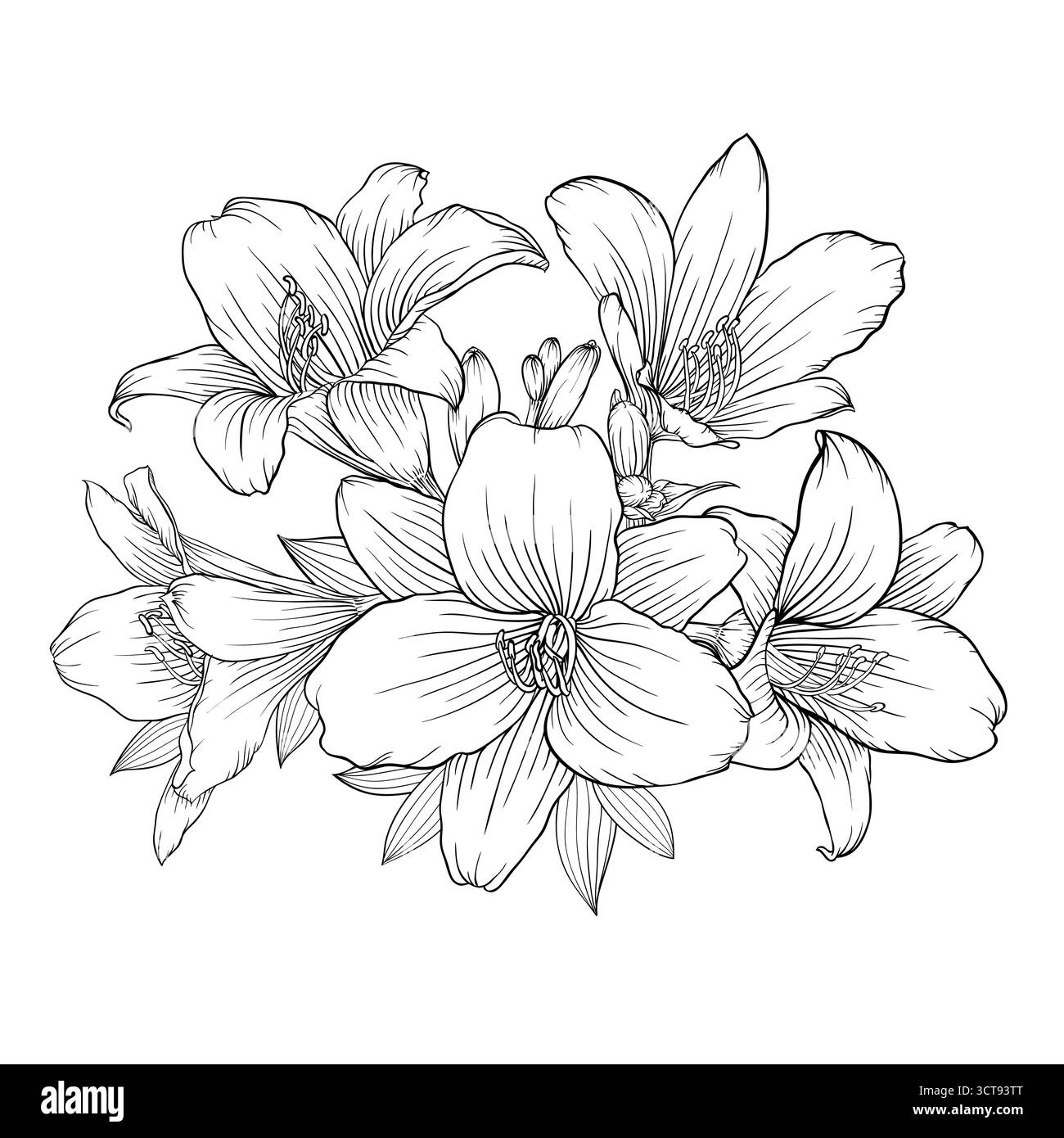 splendido bouquet bianco e nero monocromatico isolato sullo sfondo Illustrazione Vettoriale