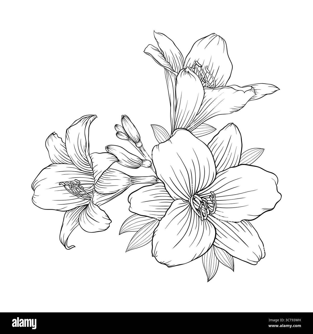 splendido bouquet bianco e nero monocromatico isolato sullo sfondo Illustrazione Vettoriale