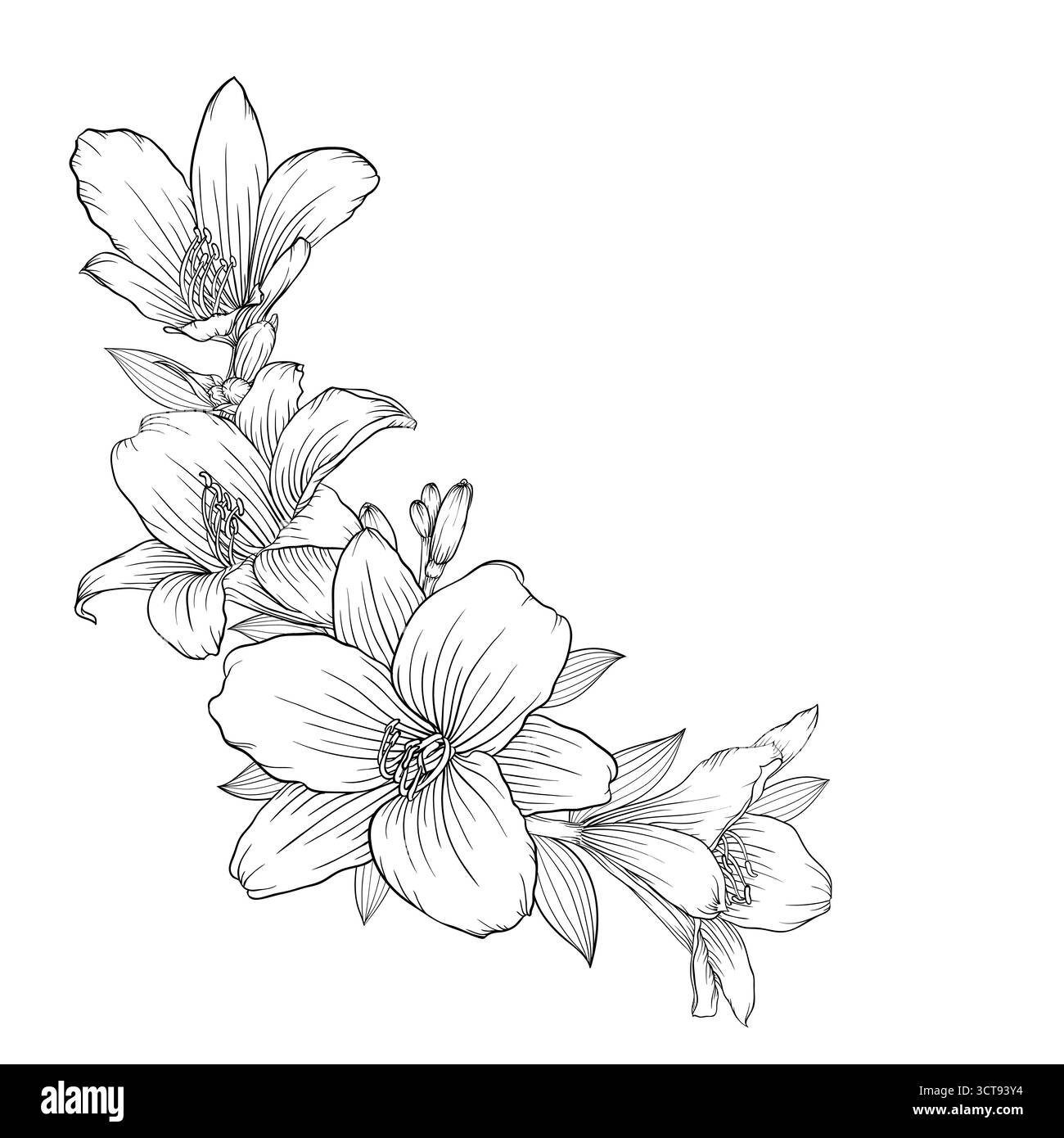 splendido bouquet bianco e nero monocromatico isolato sullo sfondo Illustrazione Vettoriale