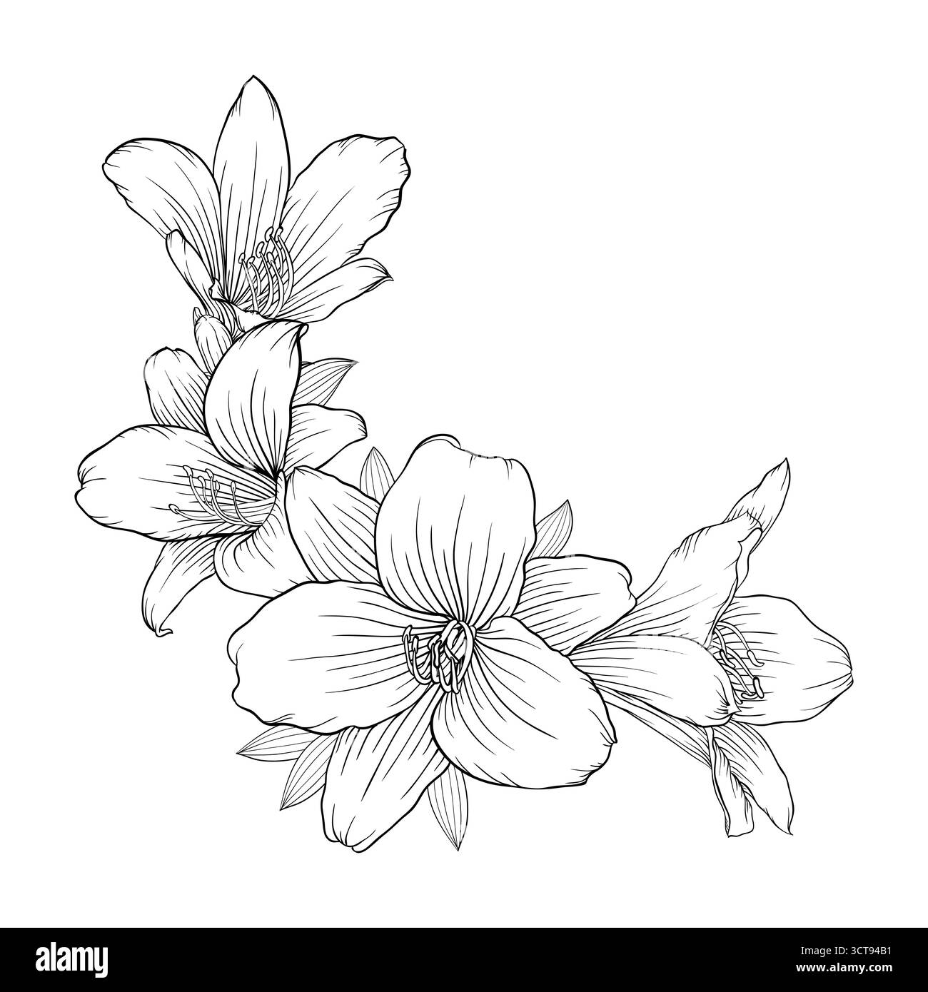 splendido bouquet bianco e nero monocromatico isolato sullo sfondo Illustrazione Vettoriale