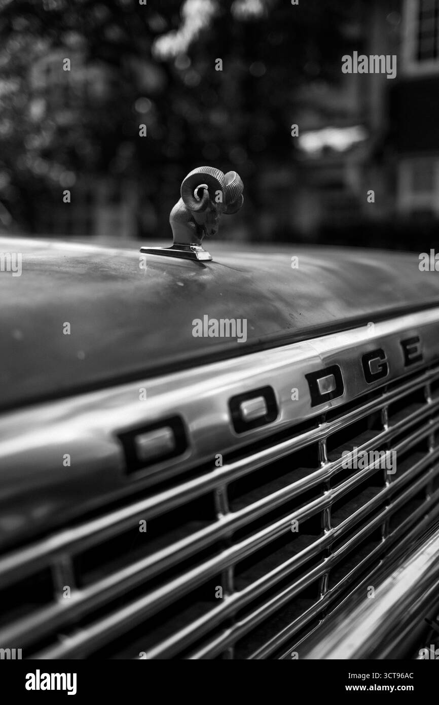 Chiswick, Londra – 2025.04.28 – Una fotografia in bianco e nero di un camioncino Dodge d'epoca con il classico emblema di montone, Captu Foto Stock