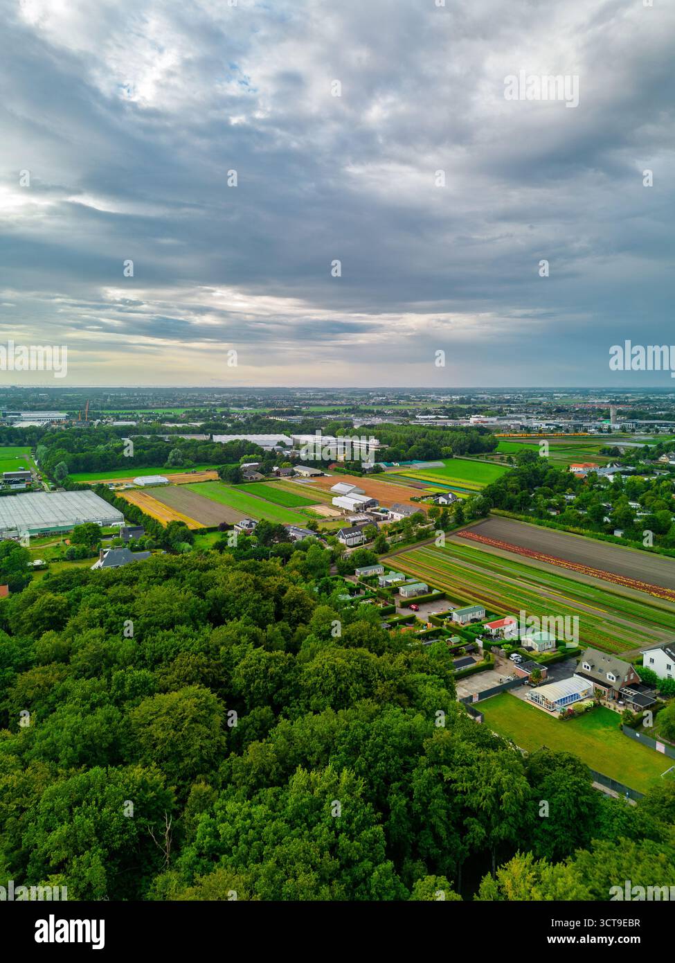 Vista aerea del paesaggio rurale con foreste, serre, campi coltivati e case residenziali che contrastano le texture naturali con l'agricoltura strutturata A. Foto Stock