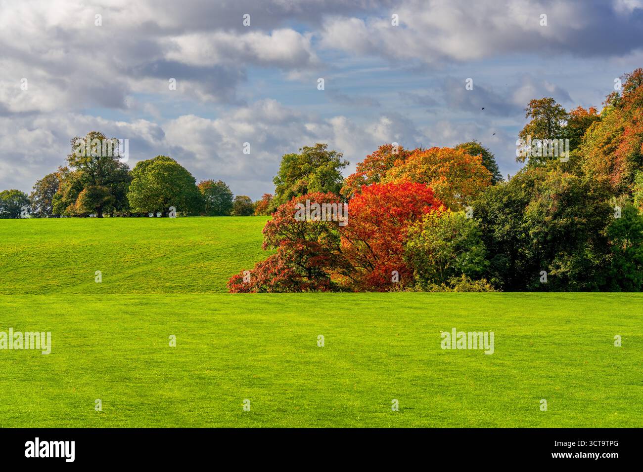 Vivace paesaggio autunnale a Upton Park con alberi colorati, lussureggianti campi verdi e un suggestivo cielo nuvoloso nella campagna inglese Foto Stock