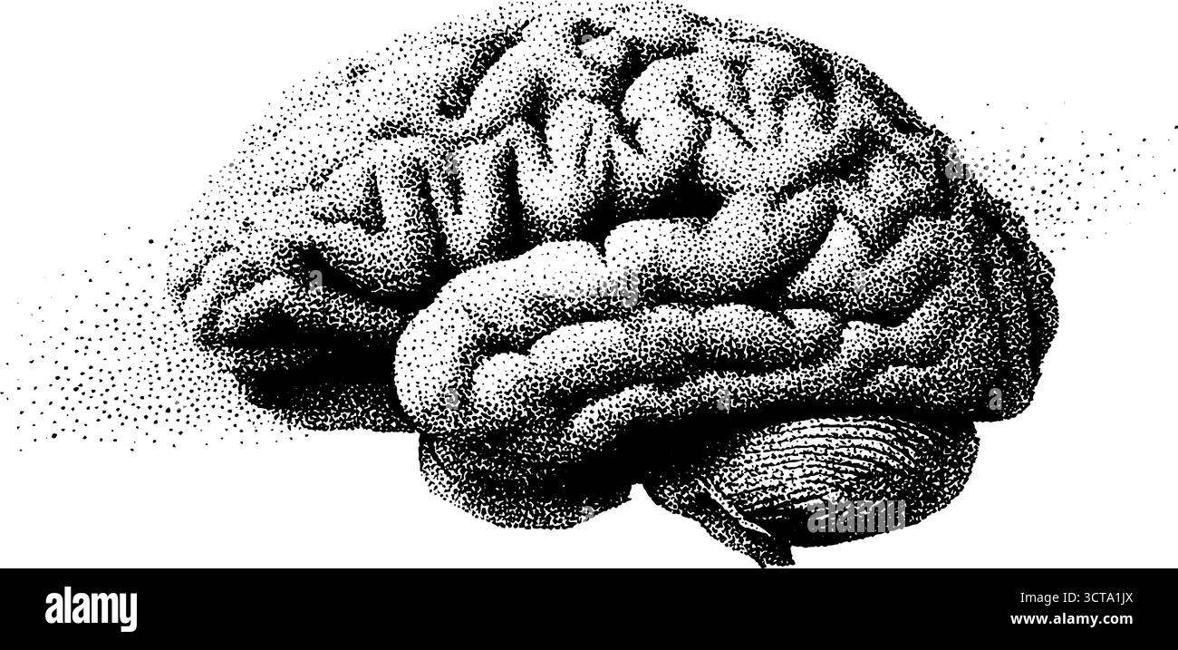 Intricati lavori di dotwork che ostacolano il cervello per l'arte scientifica e il design. Illustrazione Vettoriale