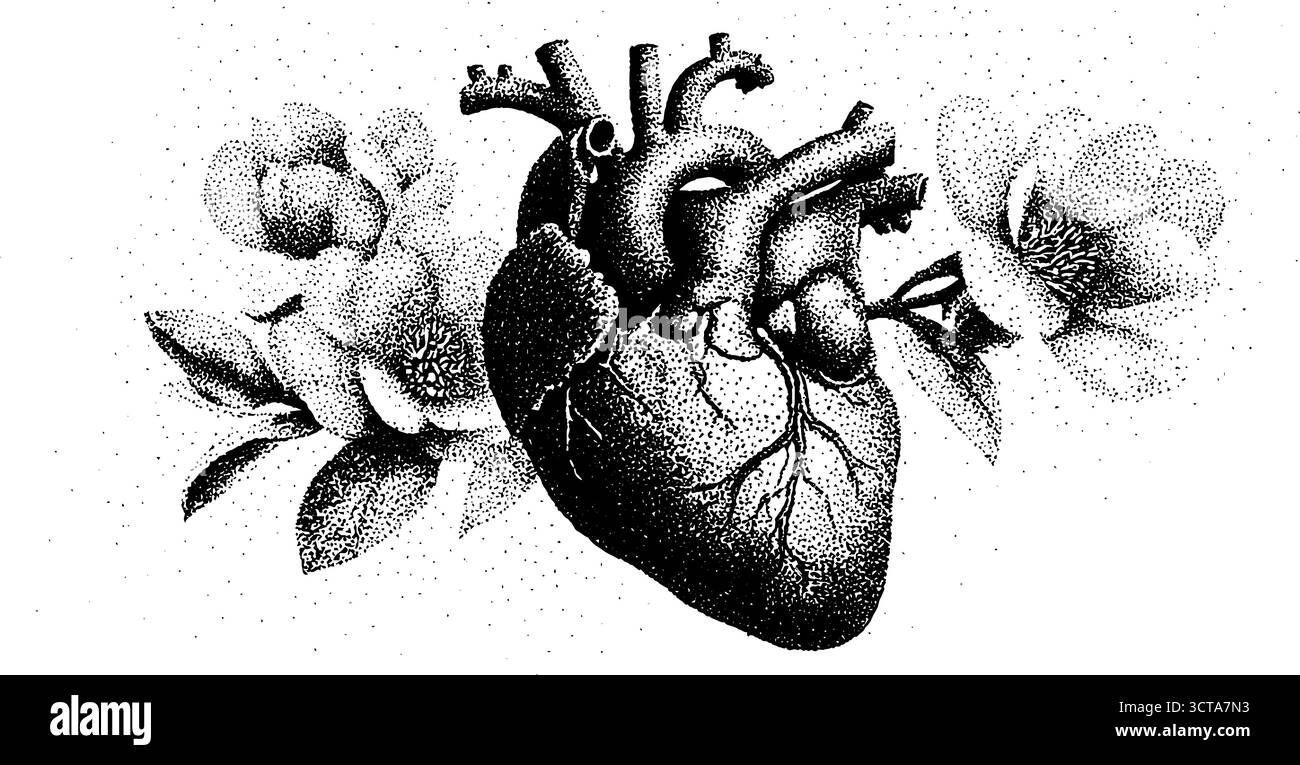 Illustrazione dettagliata di un cuore anatomico con fiori - stipite il design artistico. Illustrazione Vettoriale
