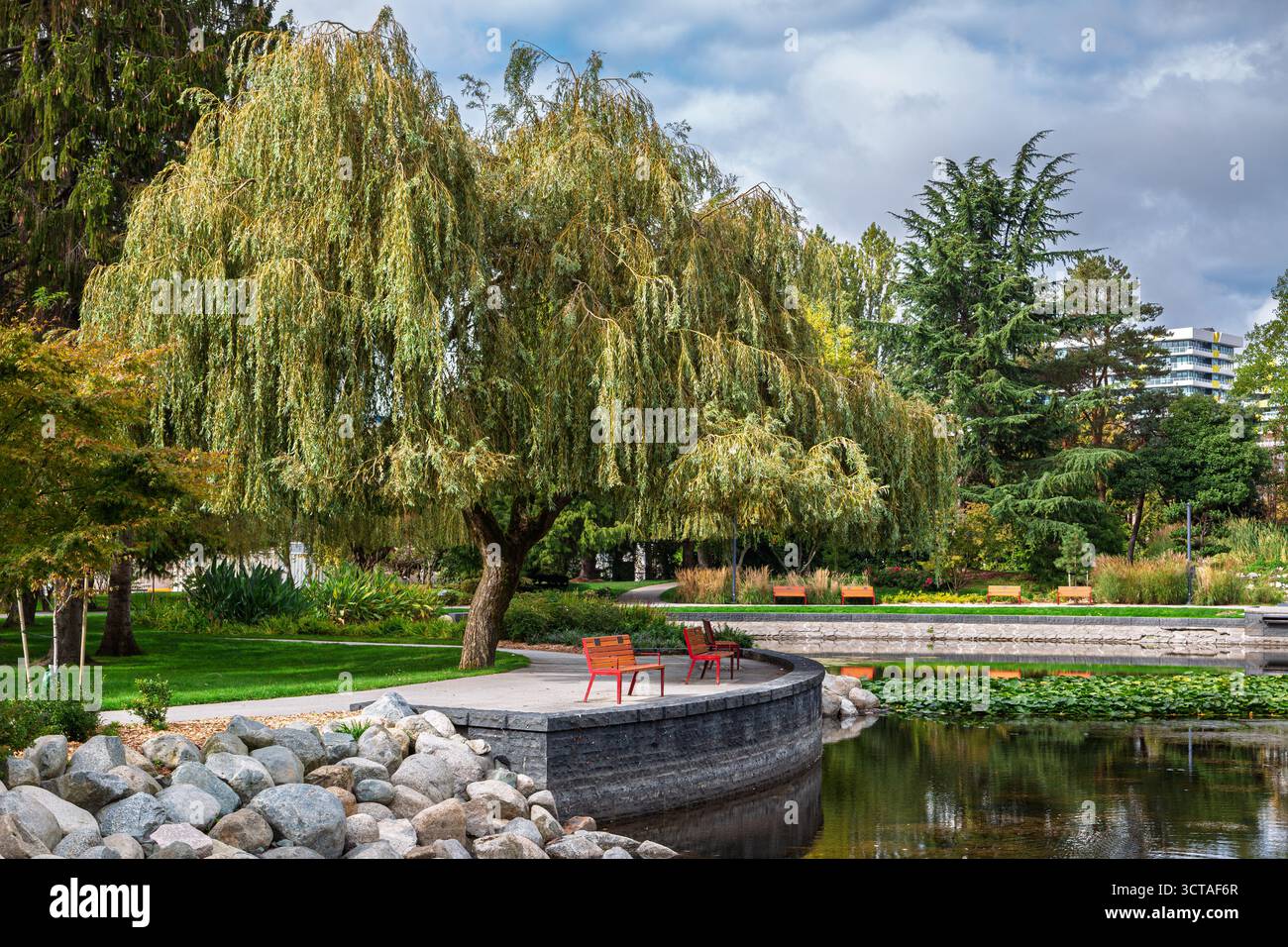 I visitatori potranno trascorrere un pomeriggio tranquillo al Minoru Park di Richmond, British Columbia. La zona è caratterizzata da splendidi alberi, passerelle e un laghetto tranquillo. Foto Stock