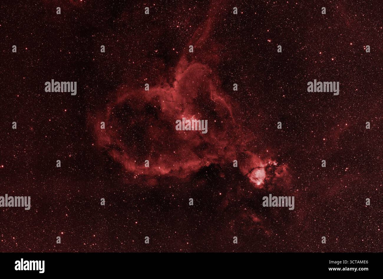 Londra, Regno Unito. 6 ottobre 2025. La Nebulosa del cuore di Cassiopeia brilla in cielo limpido sopra Londra in questa lunga esposizione della complessa nebulosa di emissione distante 7.500 anni luce, vista attraverso il campo stellare in primo piano. Crediti: Malcolm Park/Alamy Foto Stock