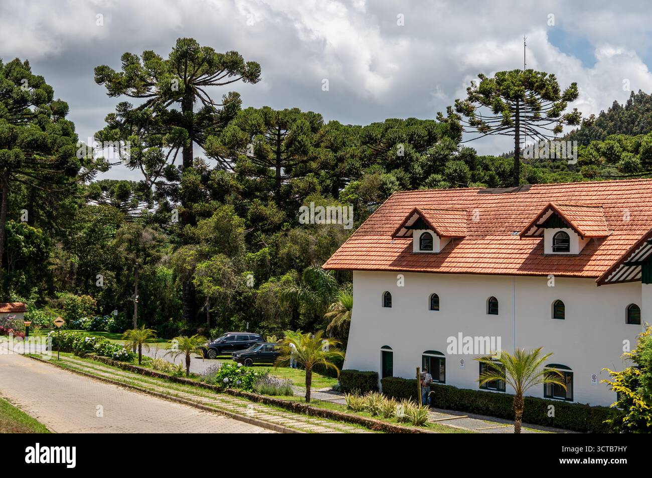 Hotel White Green Village con tetto in terracotta rossa, finestre dormitori, lussureggianti alberi di araucaria, veicoli SUV parcheggiati e verde paesaggistico. Foto Stock