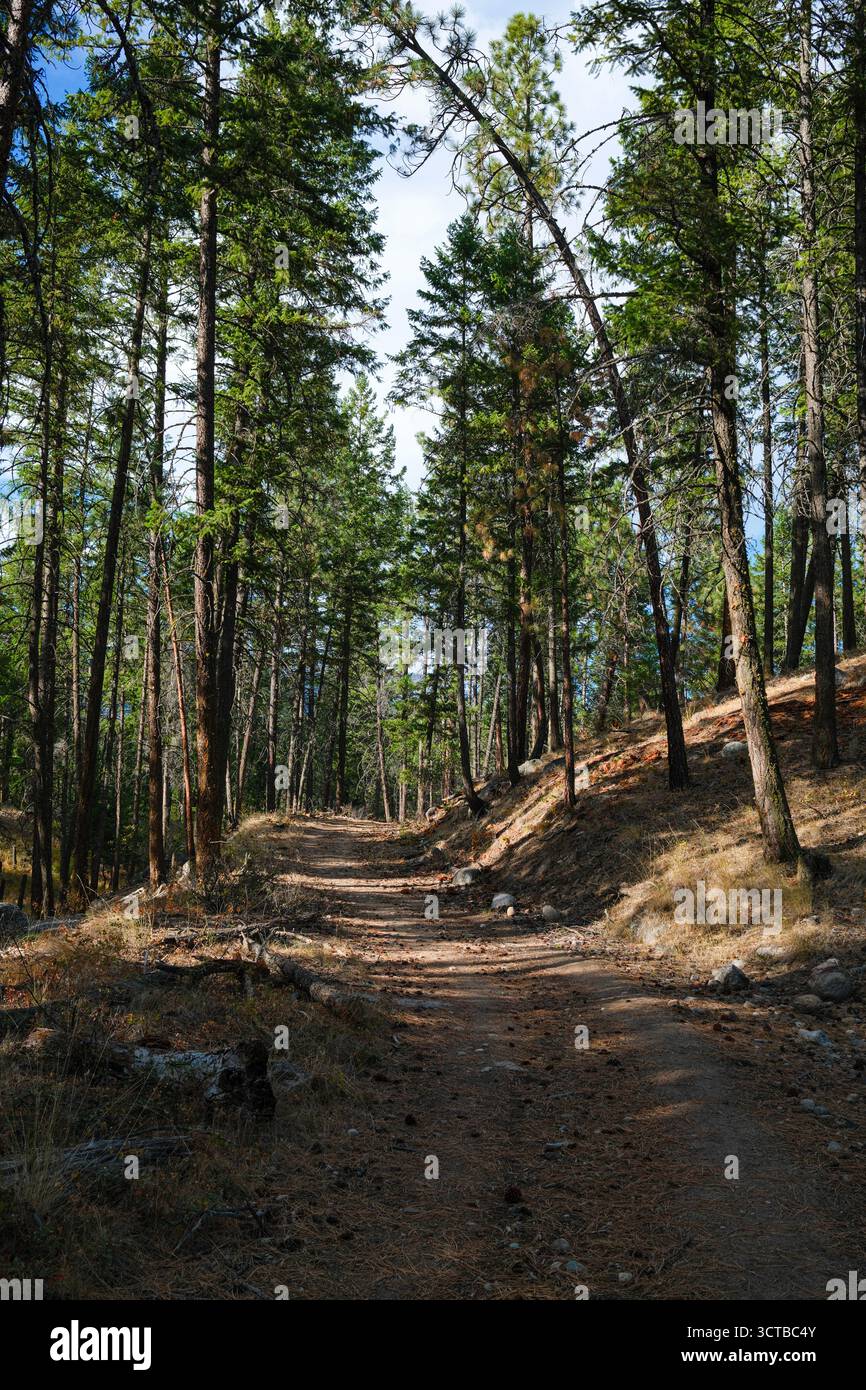 Un sentiero nella Okanagan Valley a Kelowna, British Columbia. Foto Stock