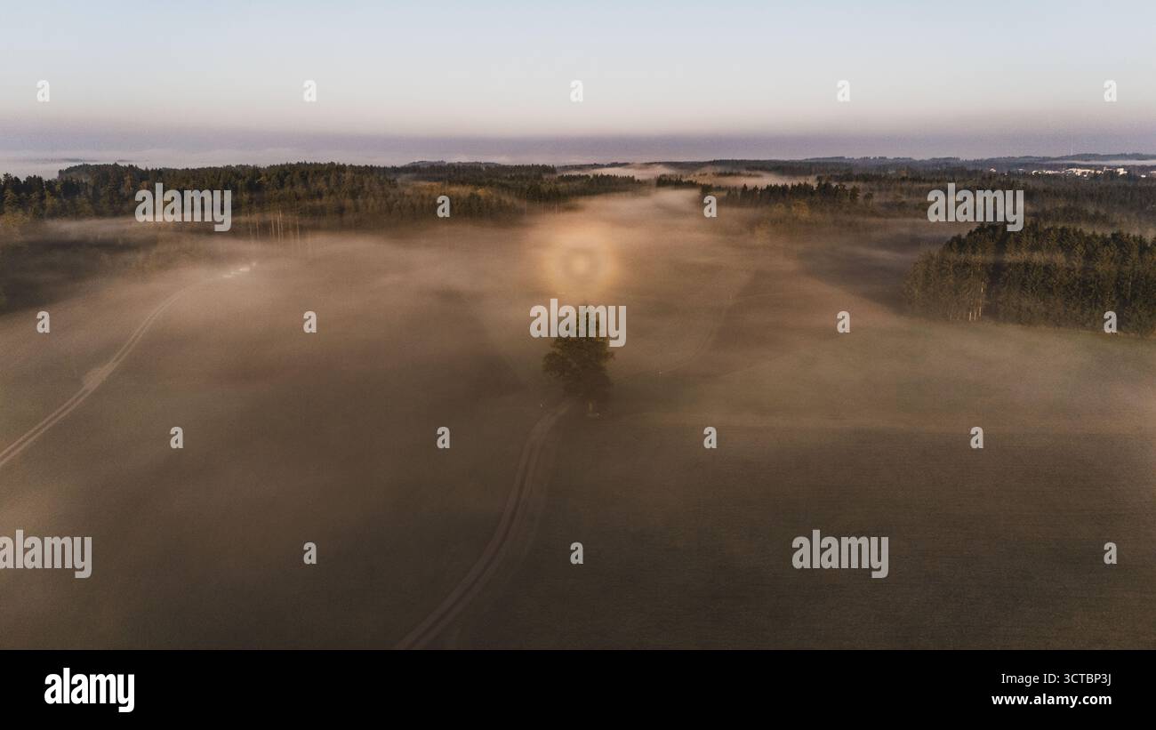 Eine Glorie (Lichterscheinung) über den Wäldern des Flachgaus bei Arnsdorf am Morgen des 03.10.2025. // Un alone (fenomeno luminoso) sulle foreste del Flachgau vicino ad Arnsdorf la mattina del 3 ottobre 2025. // - 20251003 PD6621 credito: APA-PictureDesk/Alamy Live News Foto Stock