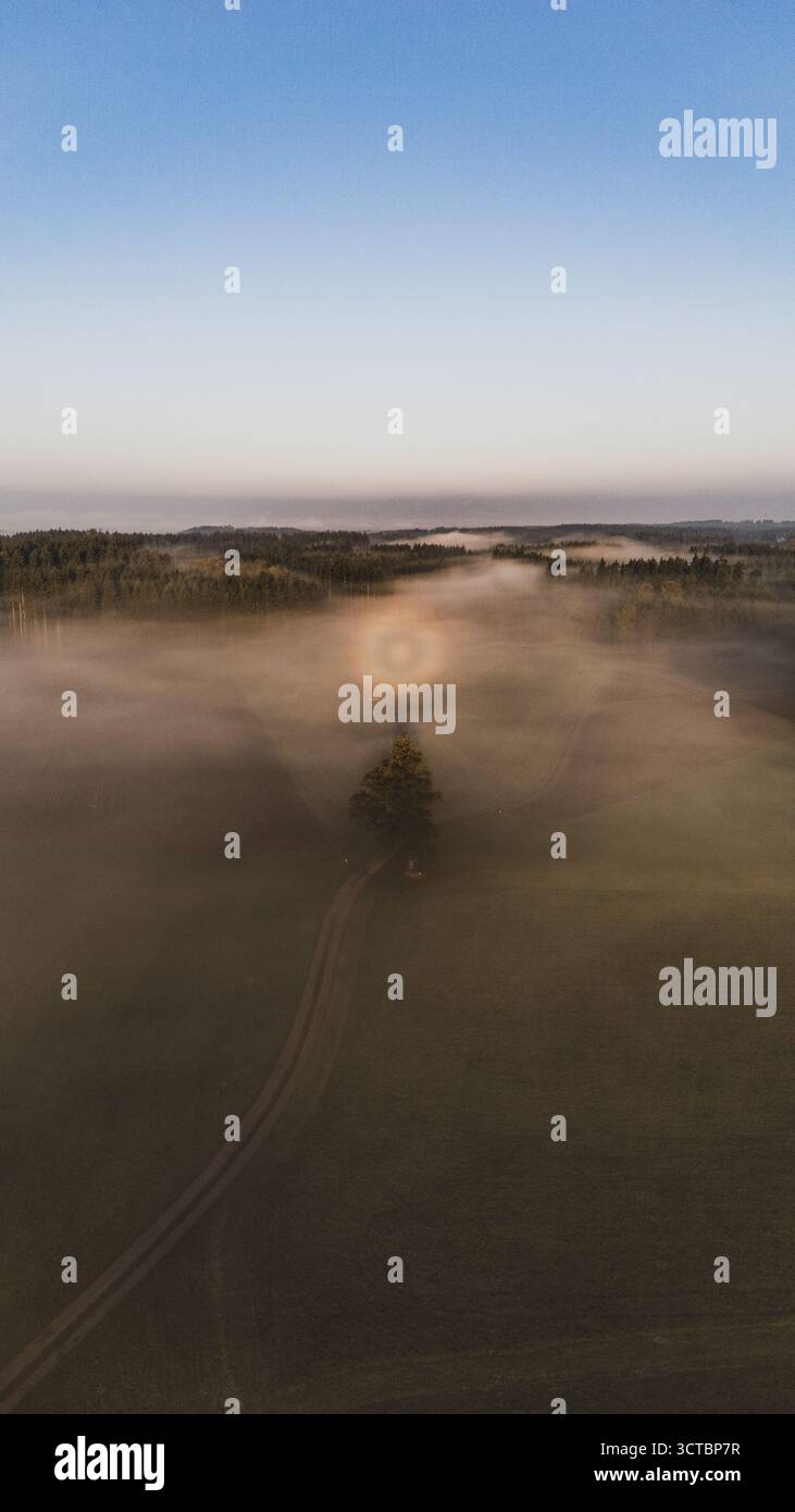 Eine Glorie (Lichterscheinung) über den Wäldern des Flachgaus bei Arnsdorf am Morgen des 03.10.2025. // Un alone (fenomeno luminoso) sulle foreste del Flachgau vicino ad Arnsdorf la mattina del 3 ottobre 2025. // - 20251003 PD6605 credito: APA-PictureDesk/Alamy Live News Foto Stock