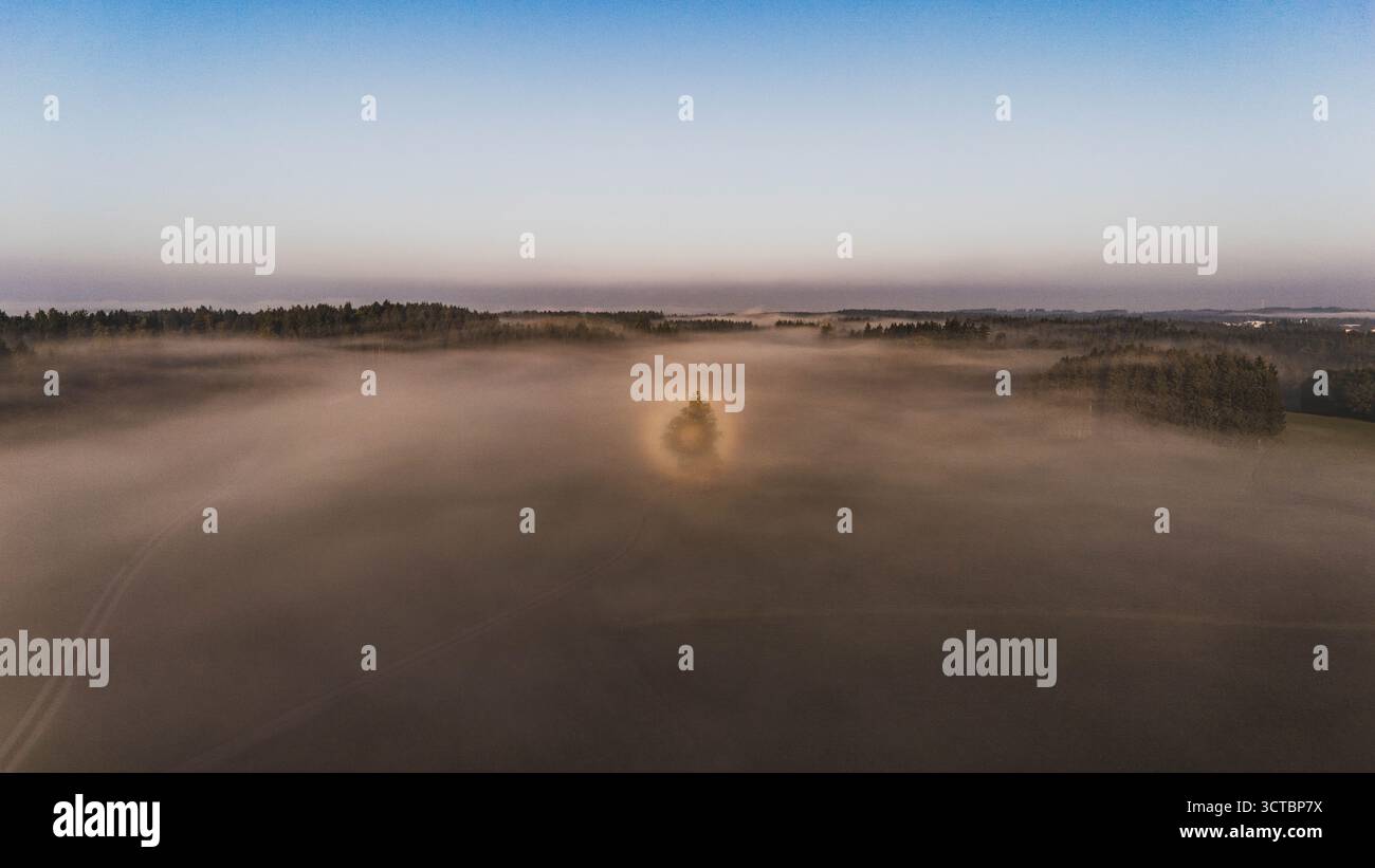 Eine Glorie (Lichterscheinung) über den Wäldern des Flachgaus bei Arnsdorf am Morgen des 03.10.2025. // Un alone (fenomeno luminoso) sulle foreste del Flachgau vicino ad Arnsdorf la mattina del 3 ottobre 2025. // - 20251003 PD6618 credito: APA-PictureDesk/Alamy Live News Foto Stock