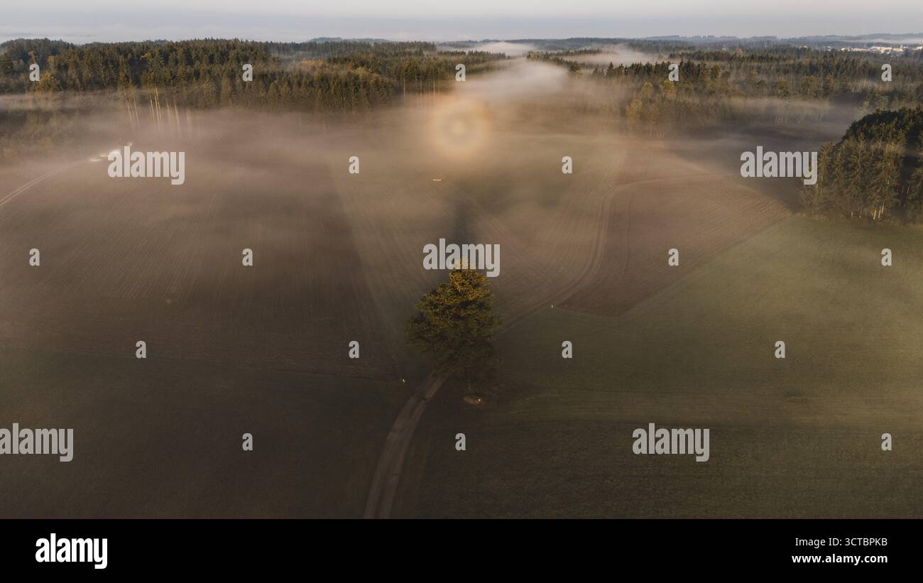 Eine Glorie (Lichterscheinung) über den Wäldern des Flachgaus bei Arnsdorf am Morgen des 03.10.2025. // Un alone (fenomeno luminoso) sulle foreste del Flachgau vicino ad Arnsdorf la mattina del 3 ottobre 2025. // - 20251003 PD6597 credito: APA-PictureDesk/Alamy Live News Foto Stock