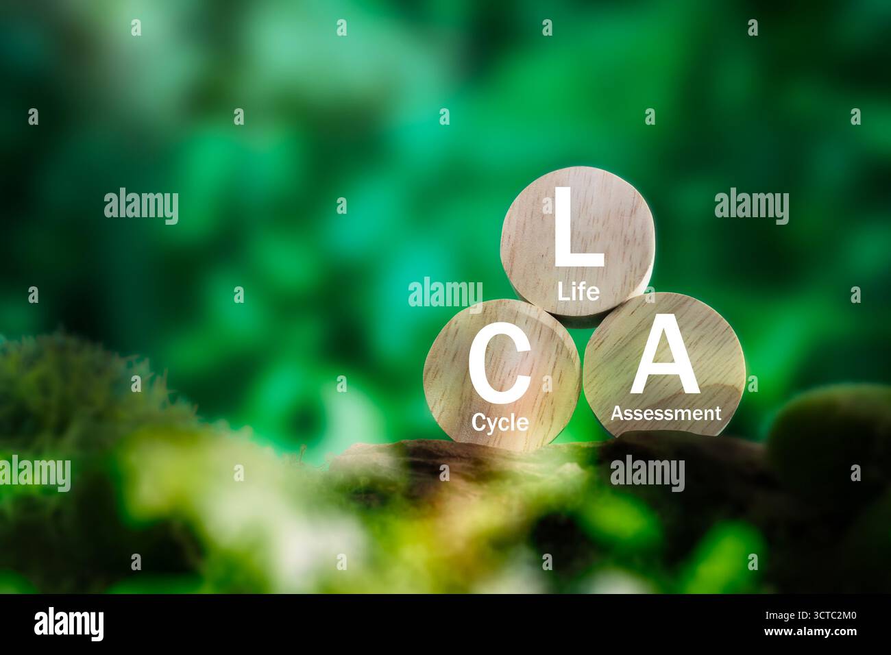 LCA - valutazione del ciclo di vita - blocchi di legno su una radice in un ambiente naturale lussureggiante. Concetto di analisi dell'impatto ambientale, sostenibilità ma Foto Stock