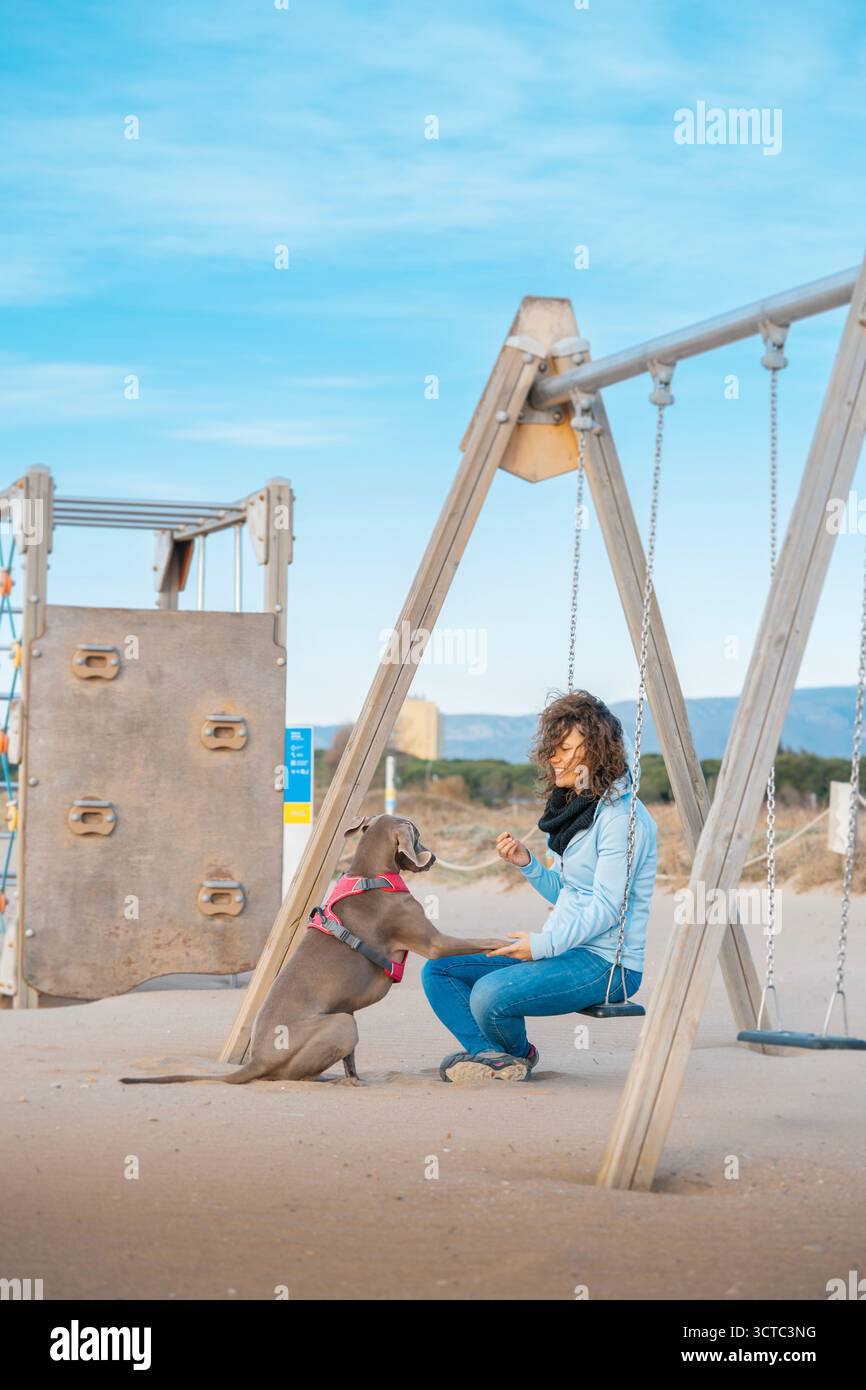 Donna che allena il suo attento cane Weimaraner per "stringere la mano" su un'altalena in un parco giochi sabbioso sulla spiaggia, mostrando un forte legame in una giornata ventosa Foto Stock