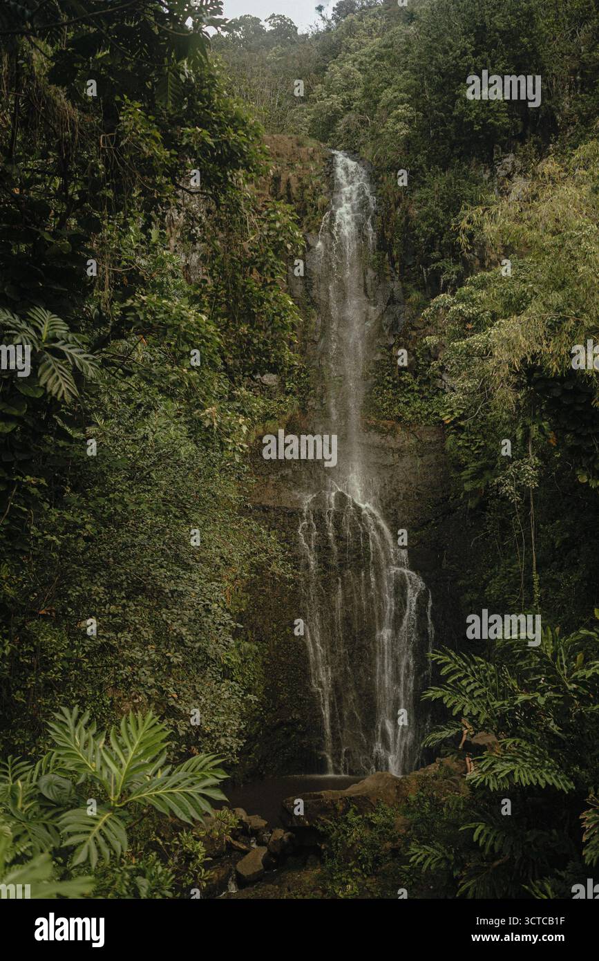 Alte cascate nella giungla si tuffano nella piscina rocciosa nella lussureggiante foresta di Maui Foto Stock