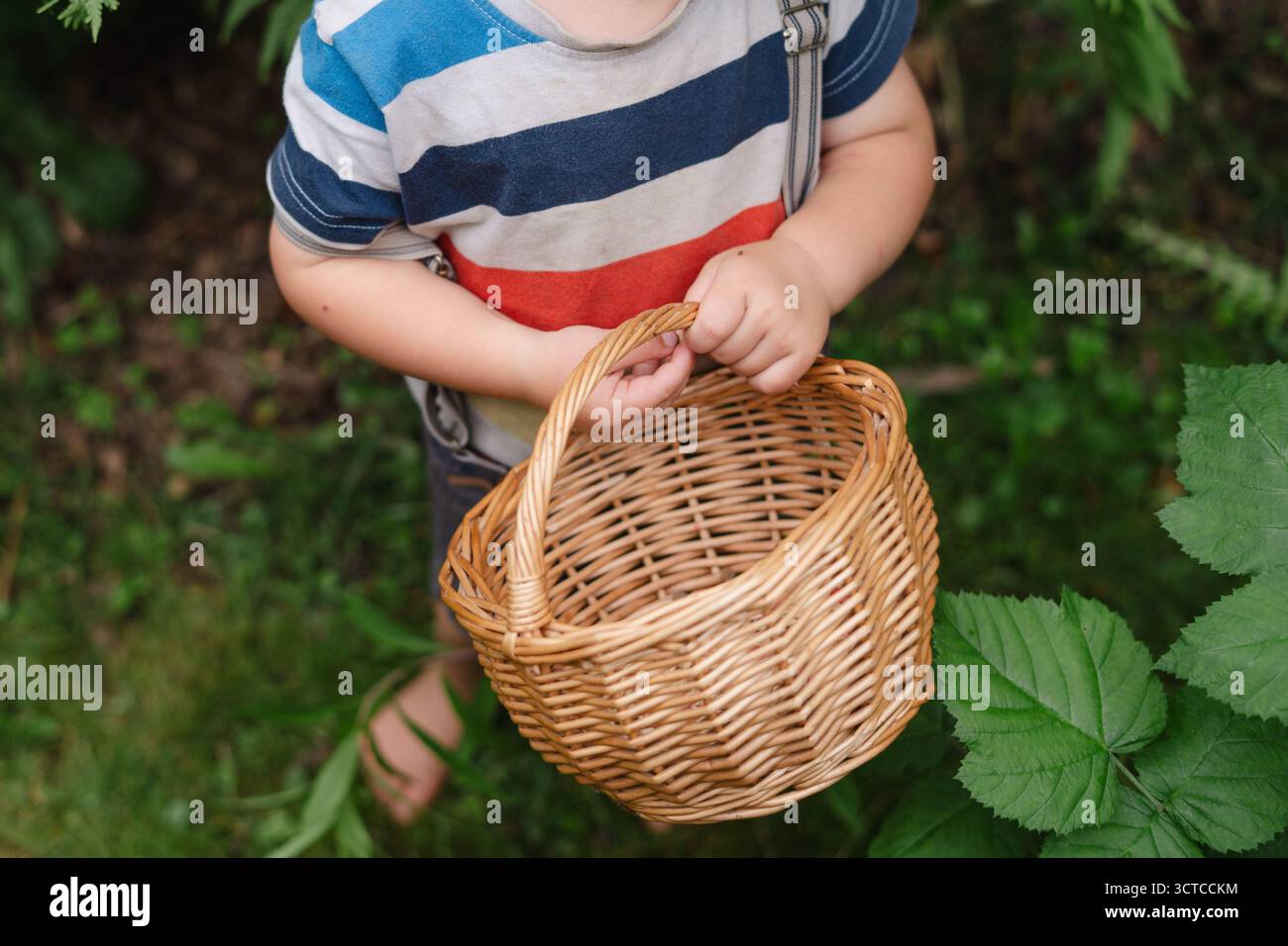 i bambini in giardino raccolgono frutta con cestino Foto Stock
