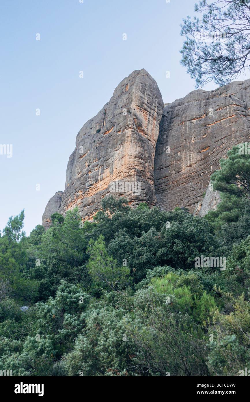 Torreggiante formazione rocciosa che si affaccia sul verde paesaggio della foresta Foto Stock