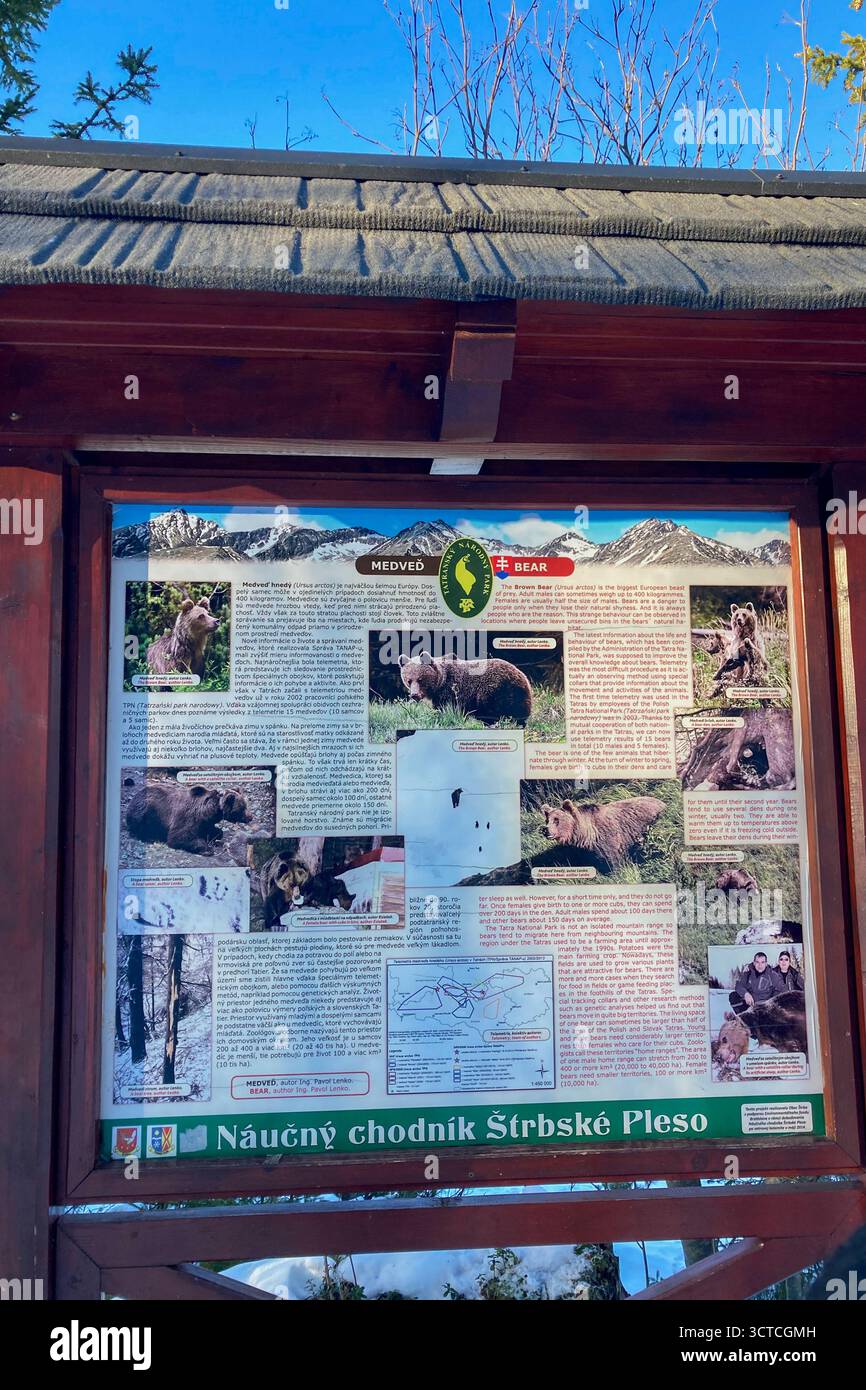 SLOVACCHIA, STREBSKE PLESO - 30 DICEMBRE 2024: Paesaggio invernale di Strbske pleso, località sciistica, turistica di punta, e stazione di salute situata in - Immagine stock catturata con smartphone