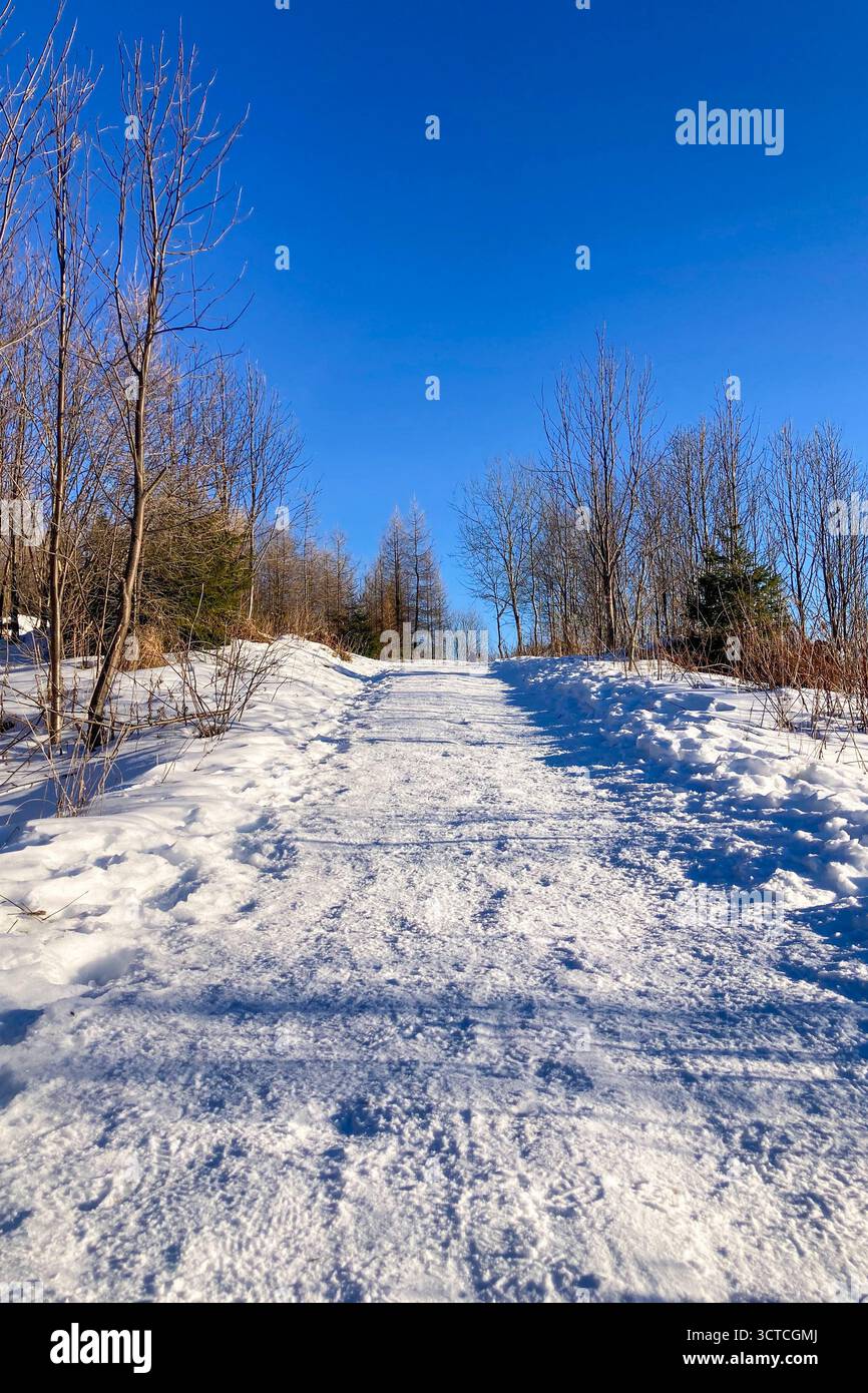Paesaggio invernale di Strbske pleso che è una località sciistica, meta turistica di primo piano, e centro benessere situato sul lago con lo stesso nome di origine glaciale in - Immagine stock catturata con smartphone